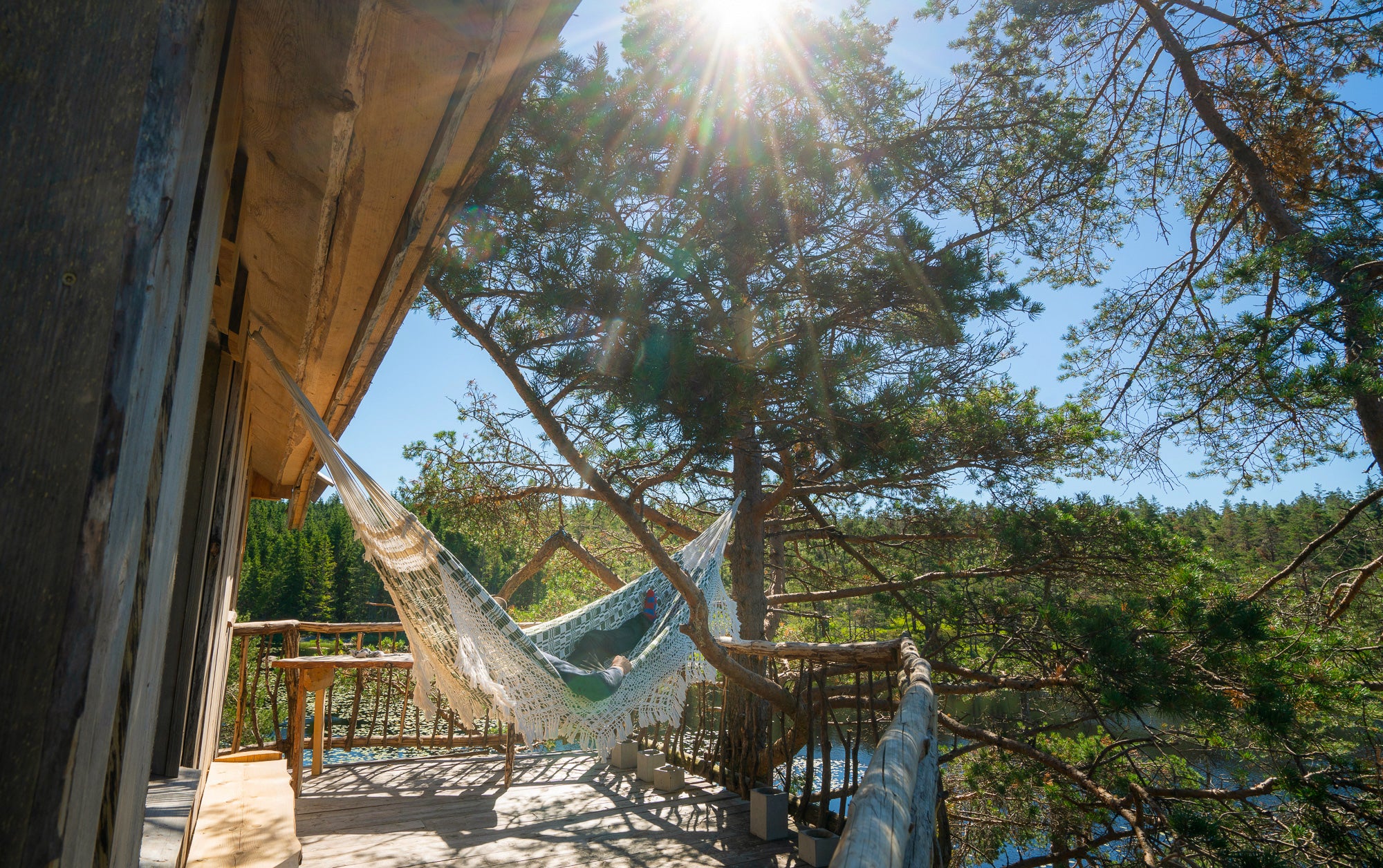 Wedged between three old pine trees on an island in the wilds of Norway, this stunning log cabin is the stuff of children’s adventure stories. Find out more about The Island Cabin in Stay Wild by gestalten.