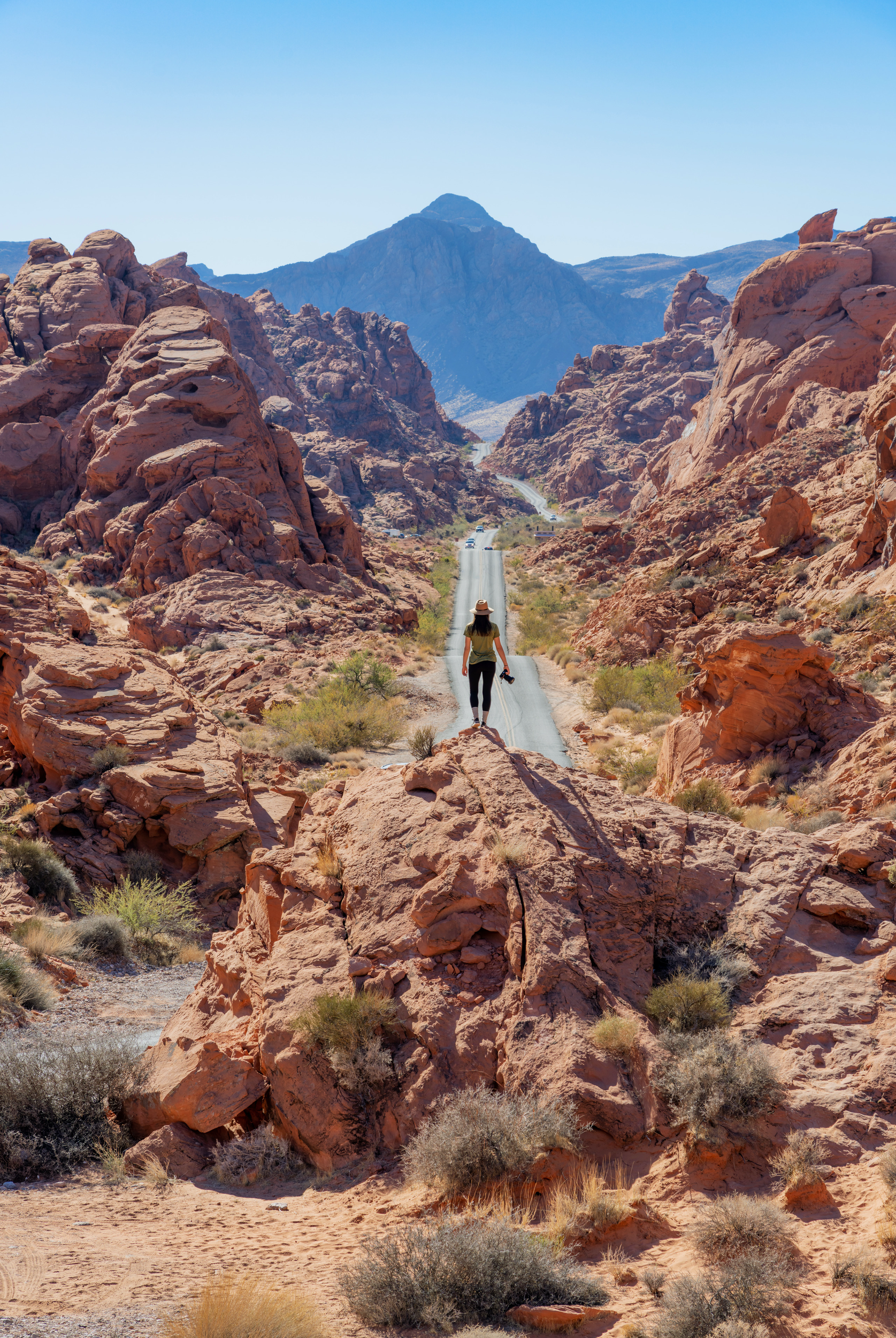 Indulge Your Whims in America’s Fun-Filled, Party-Packed Vice Cities. Discover the most exciting North American road-trips in The Great American Road Trip by gestalten.