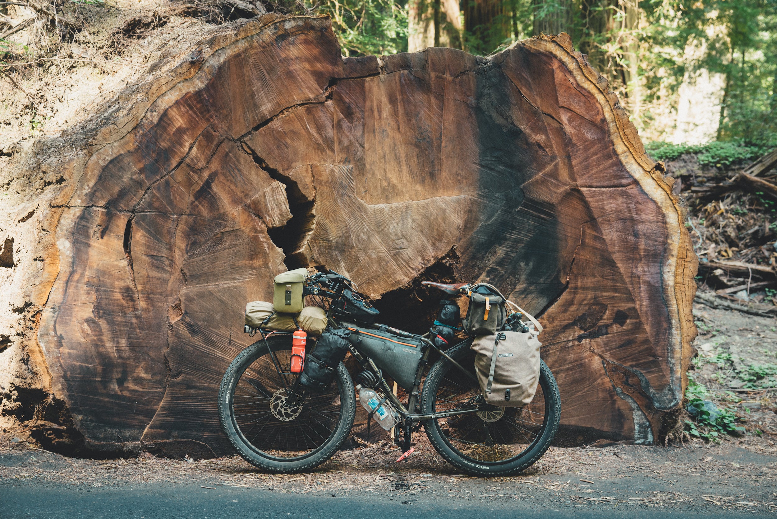 Martijn Doolard's bike on the Avenue of the Giants in California. Discover more in Two Years on a Bike by gestalten.