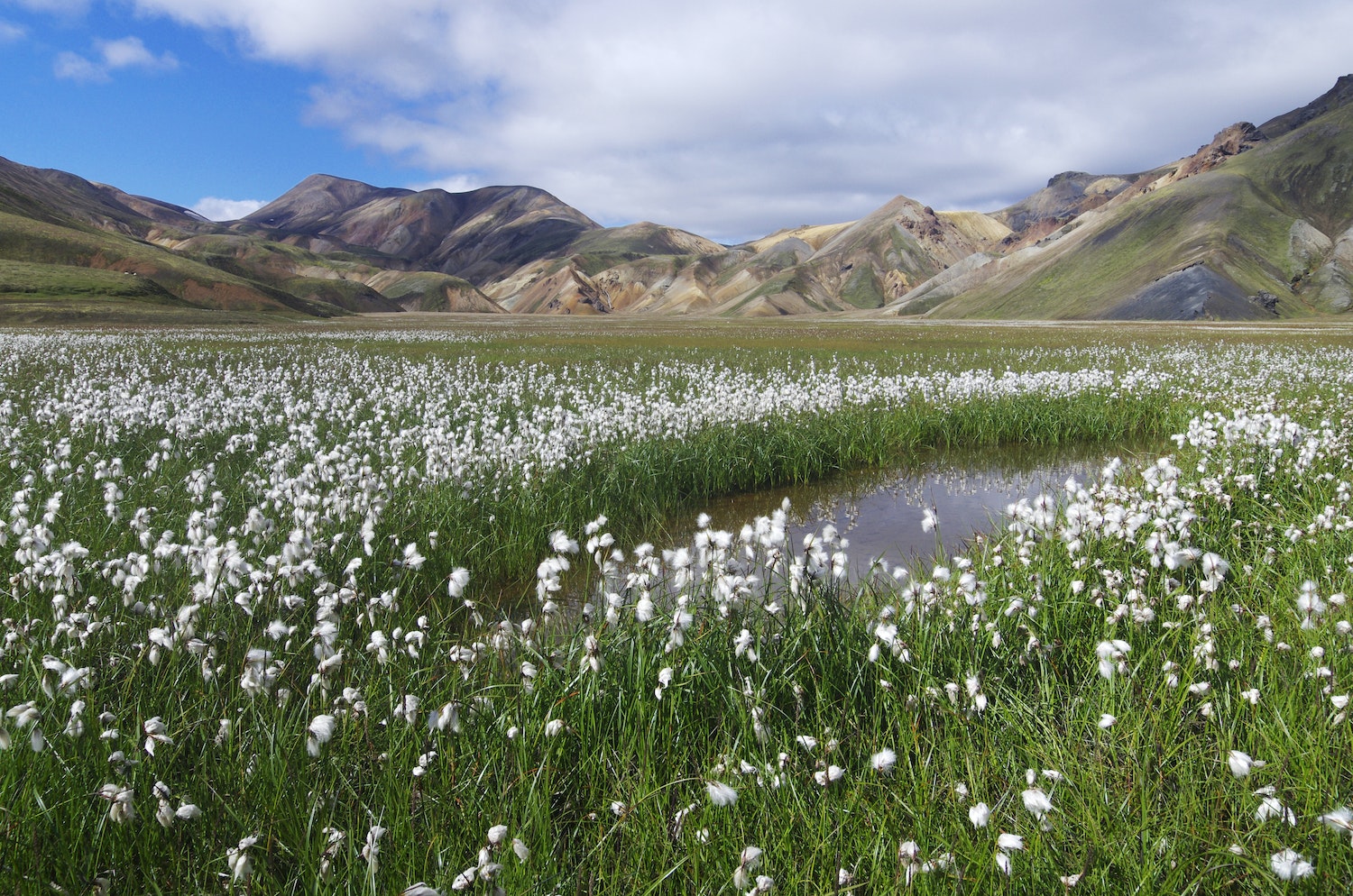The wonderful landscape of Laugavegur in Wanderlust Nordics