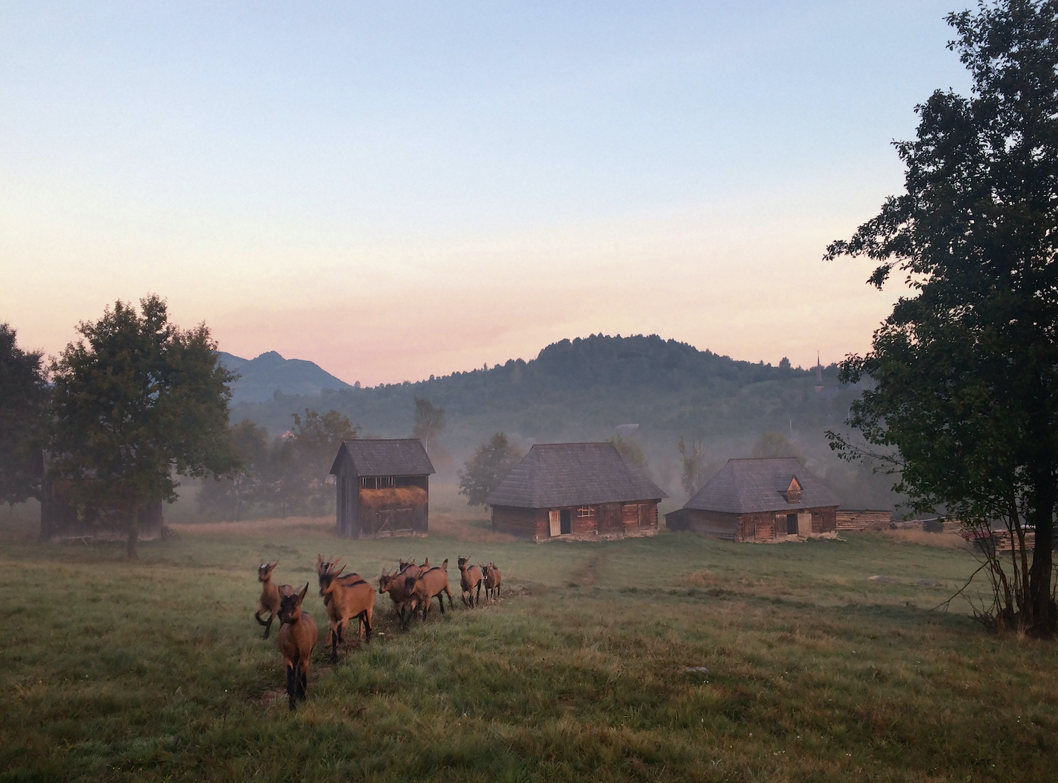 This project committed to sustainability and local traditions in Romania is featured in the book Slow Escapes. Set on a 100-hectare (245-acre) estate in the northwestern Carpathian Mountains of Romania, Şesuri comprises a handful of traditionally built houses, a farm, and countless animals.