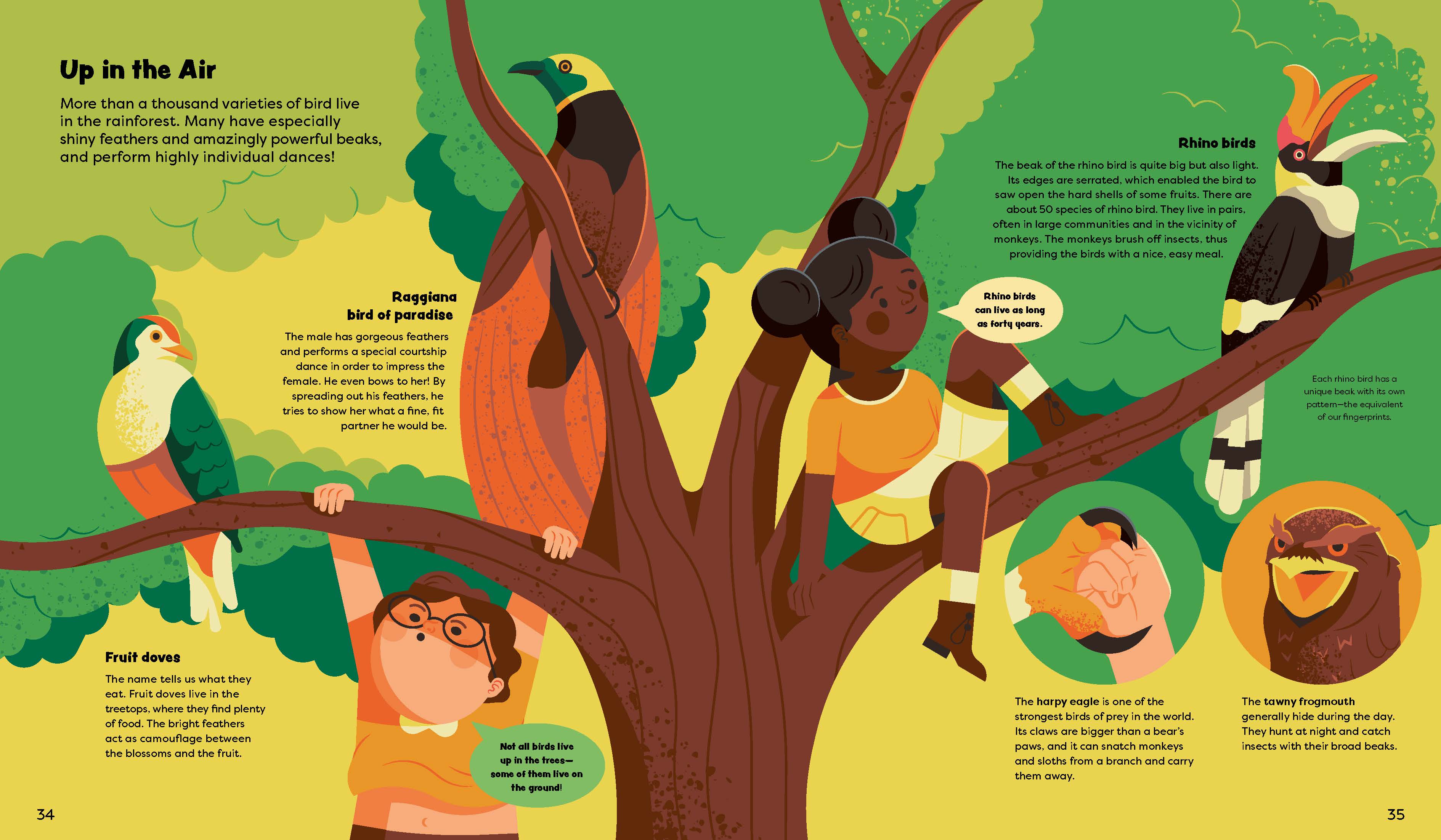 More than a thousand varieties of bird live in the rainforest.