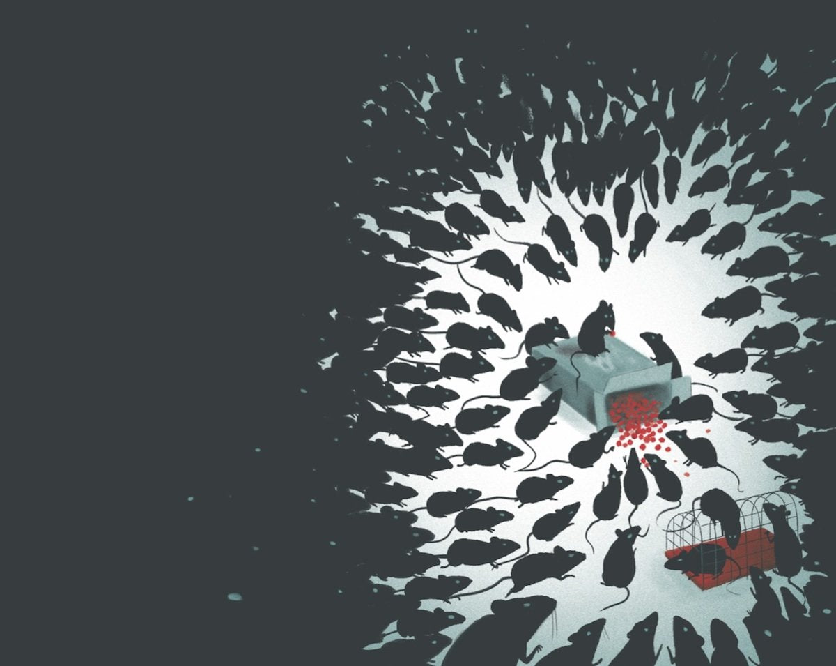 The Pied Piper of Hamelin 978-3-89955-767-1