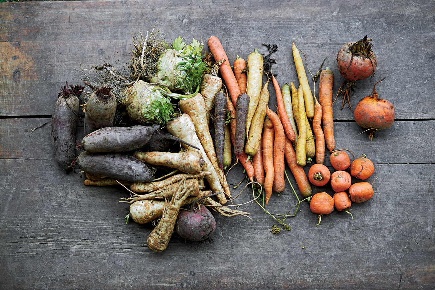 A Taste of How to Eat Your Greens!