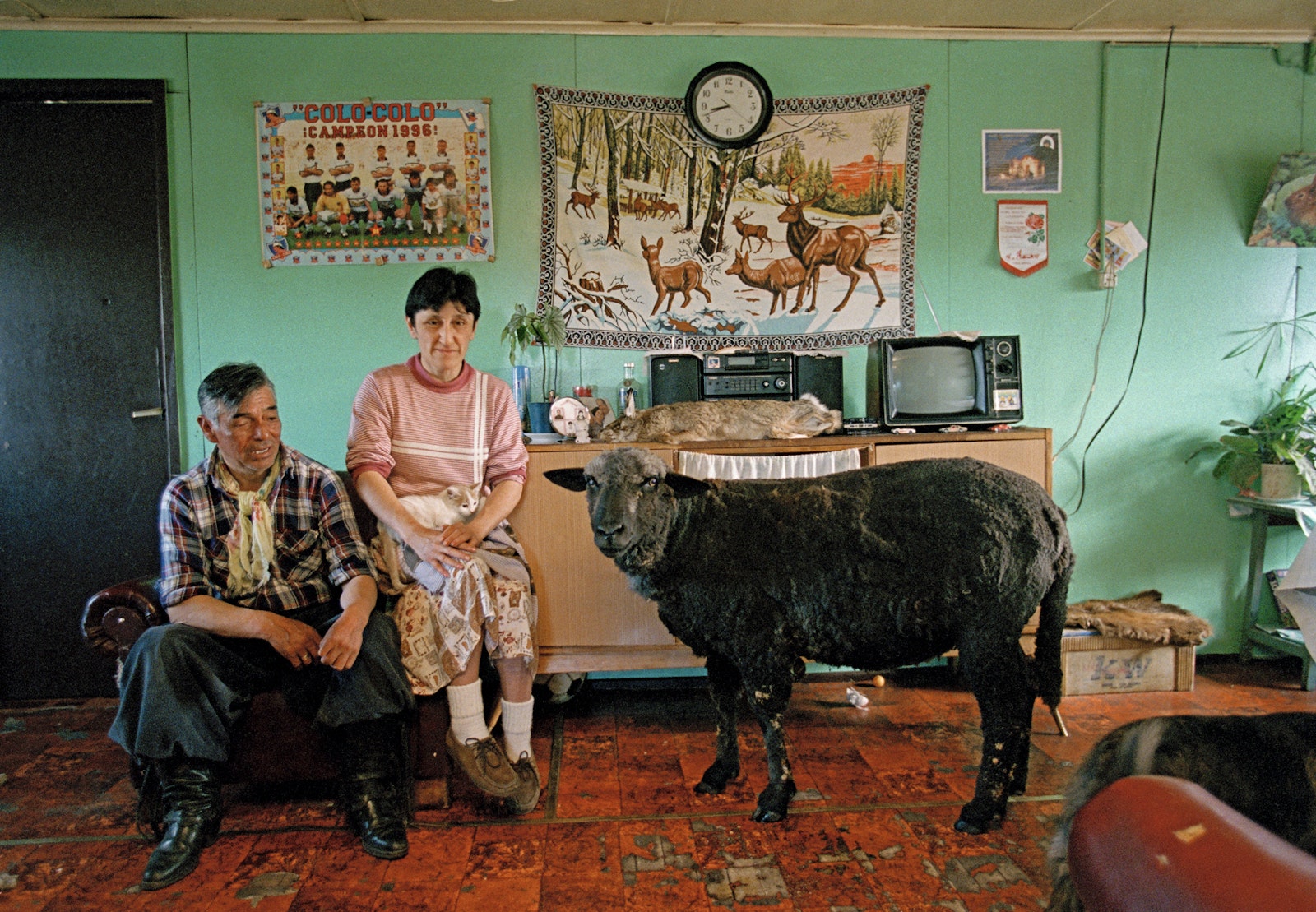 Thomas Hoepker -Stories of Humanity | teNeues