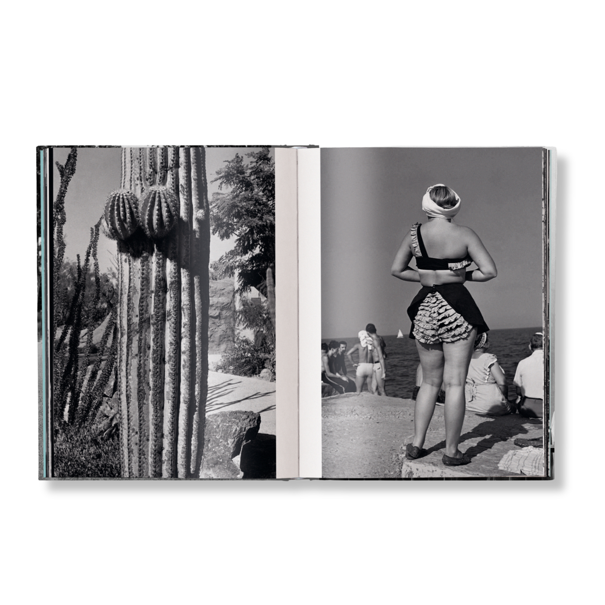 Elliott Erwitt: Personal Best (tN4t Edition) | by teNeues Elliott Erwitt: Personal Best (tN4t Edition) | by teNeues