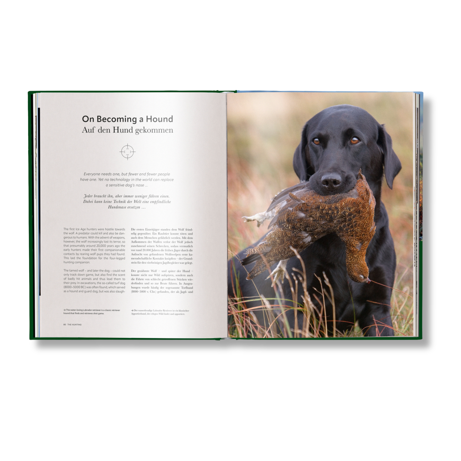 Hunting - The Ultimate Book