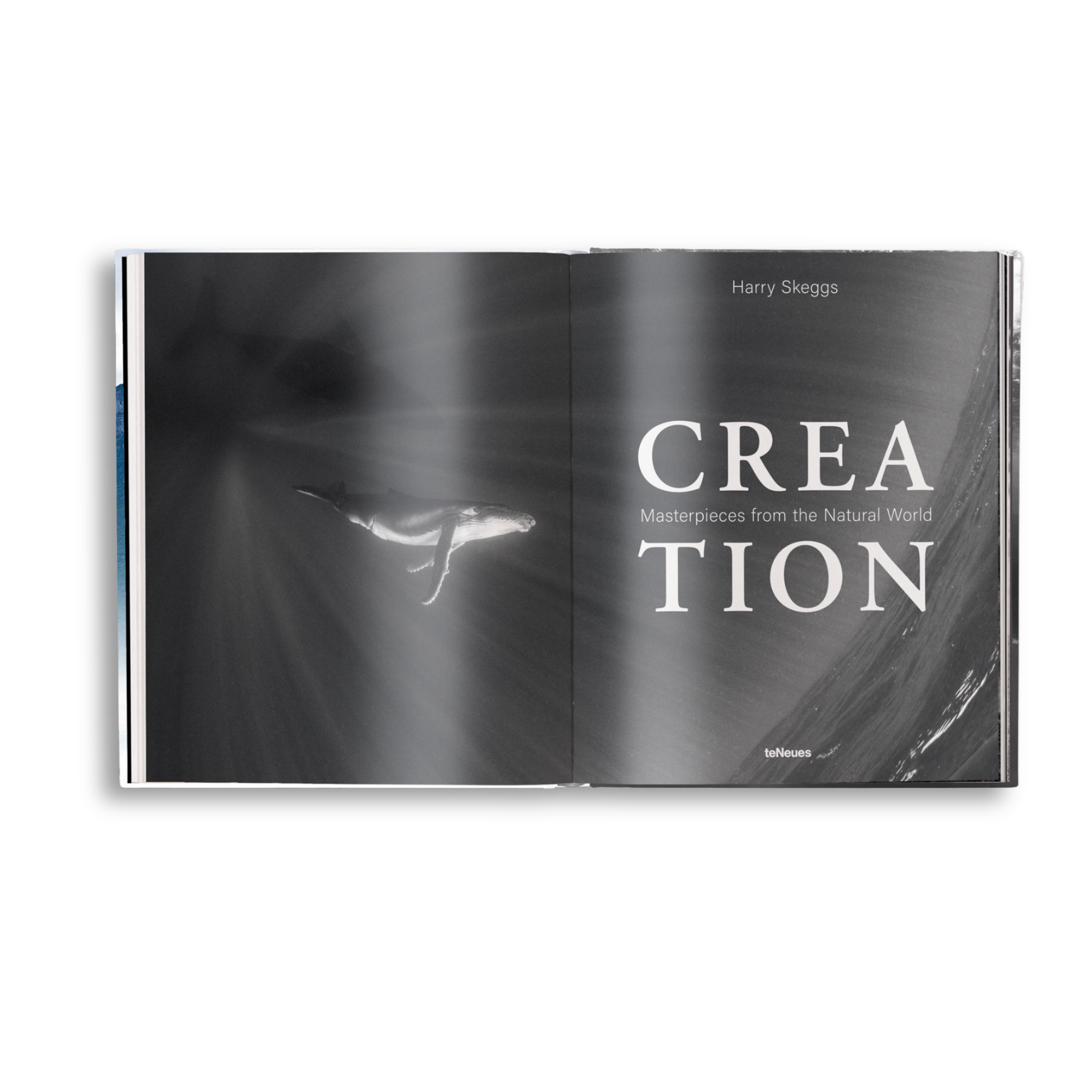 Open book with a black and white photograph of a bird and the word 'CREATION' on a white background