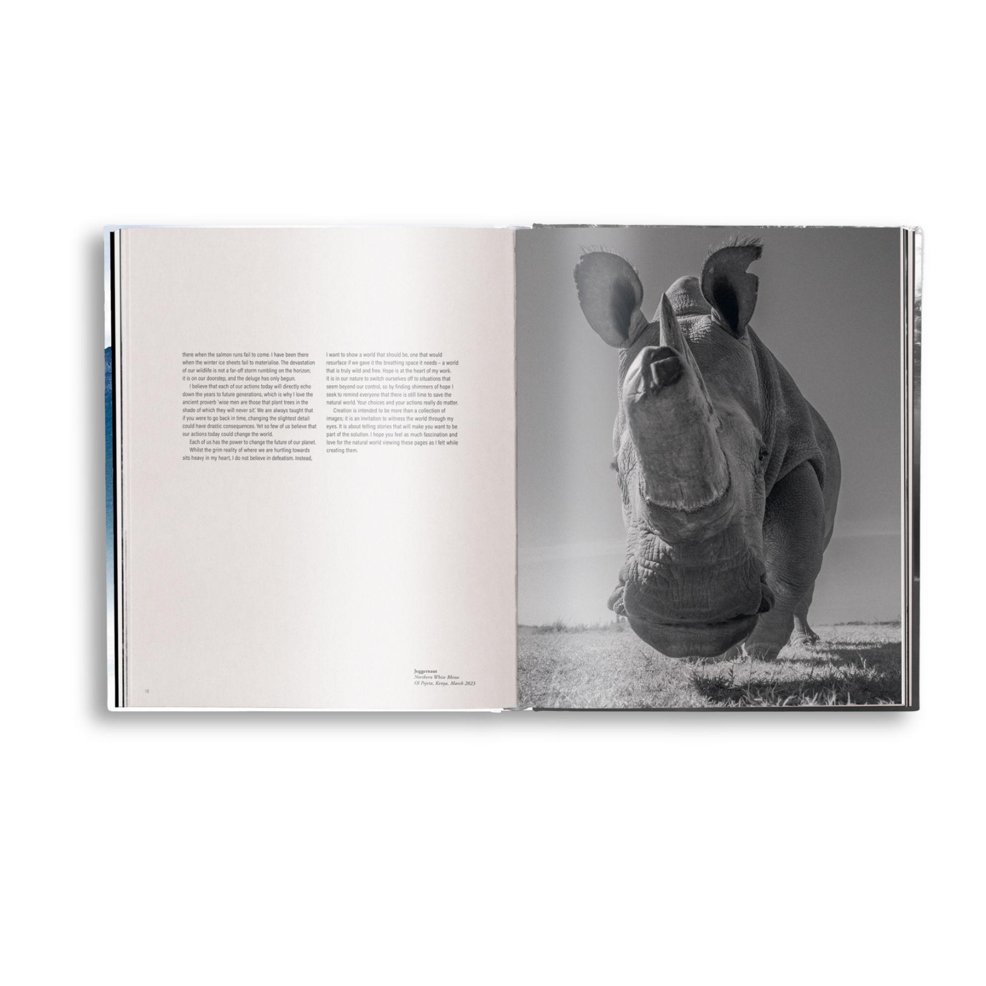 Open book showing a black and white photograph of a rhino on a white background