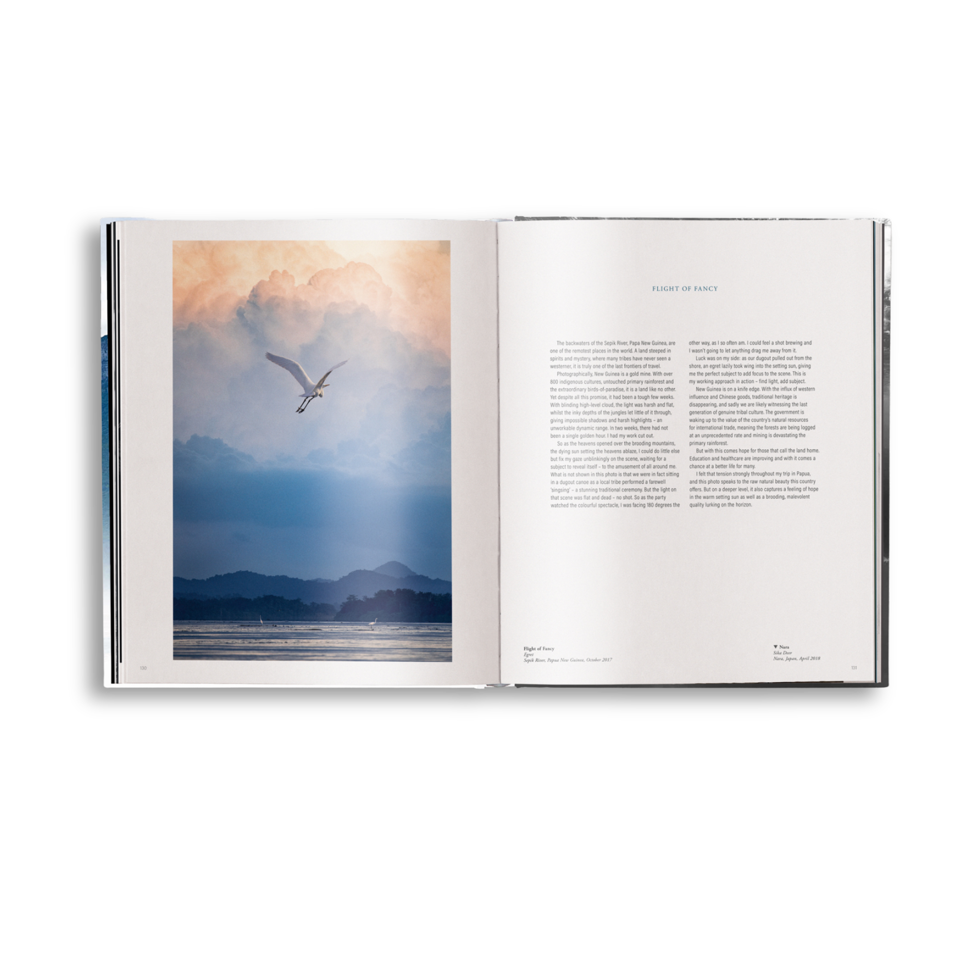 Open book with a scenic illustration of a bird flying over water and mountains on one page, and text on the other.