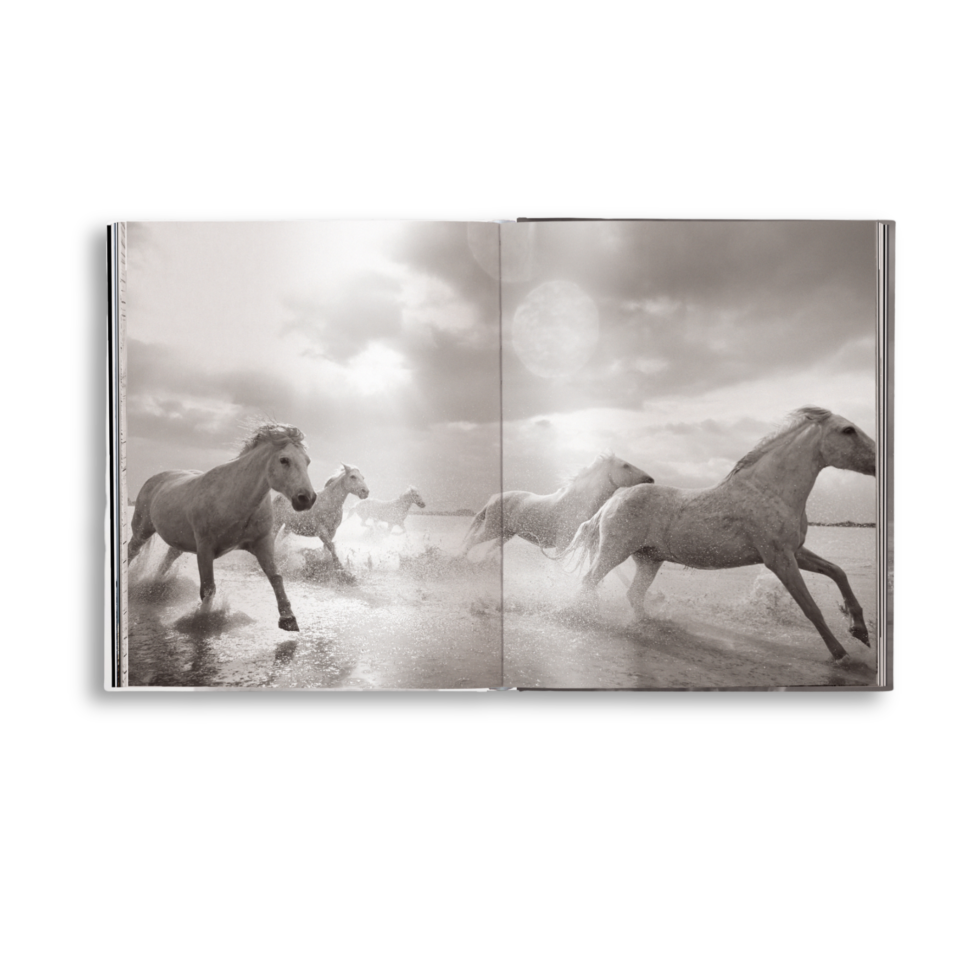 Untamed Spirits: Horses From Around the World