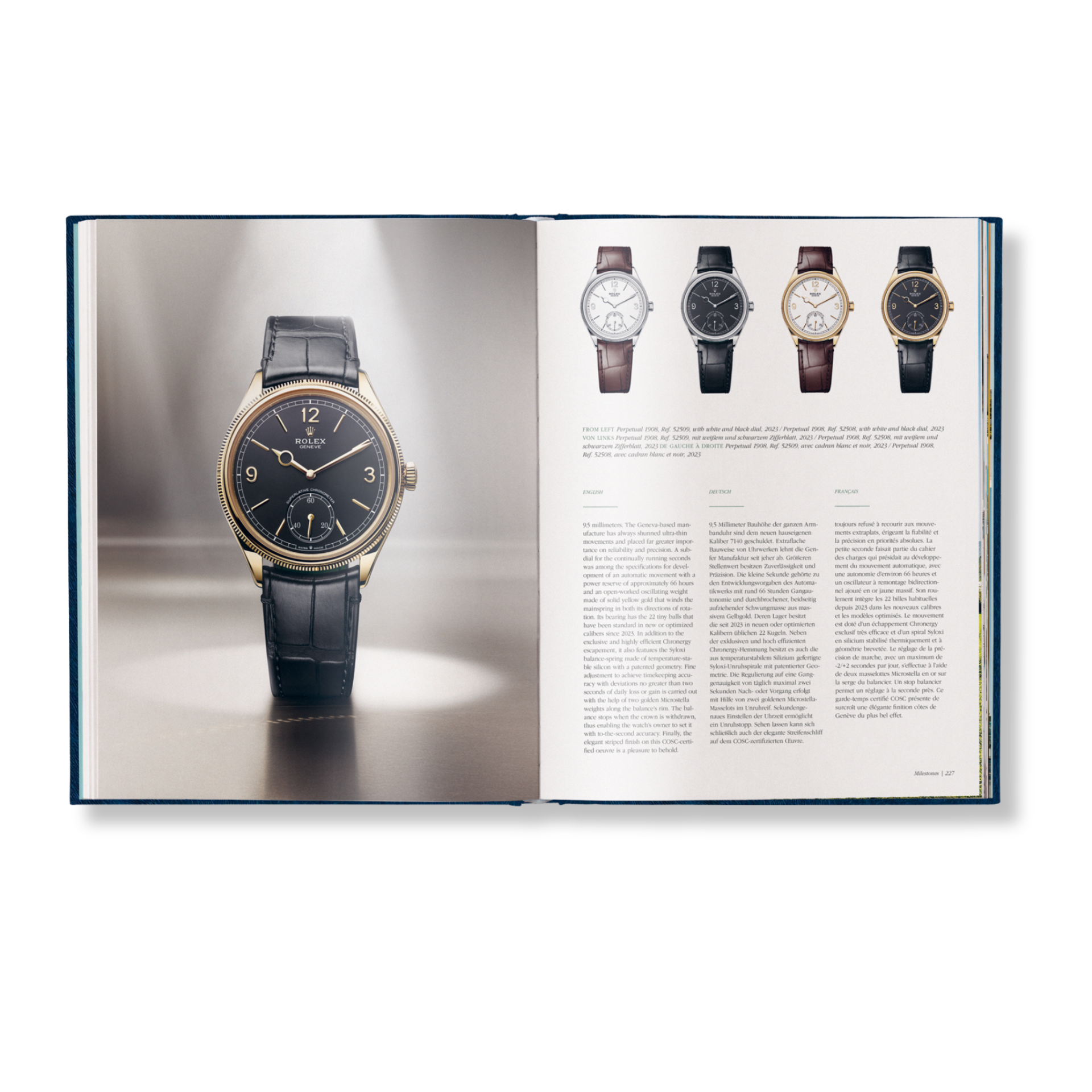 The Watch Book Rolex