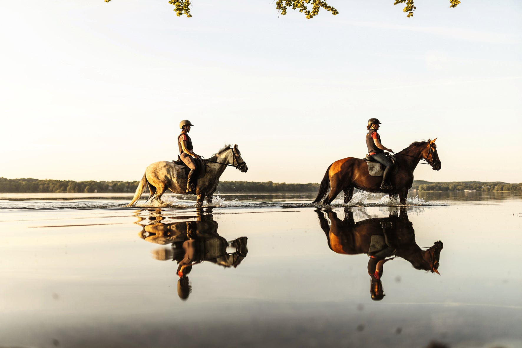 Equestrian - The Ultimate Book