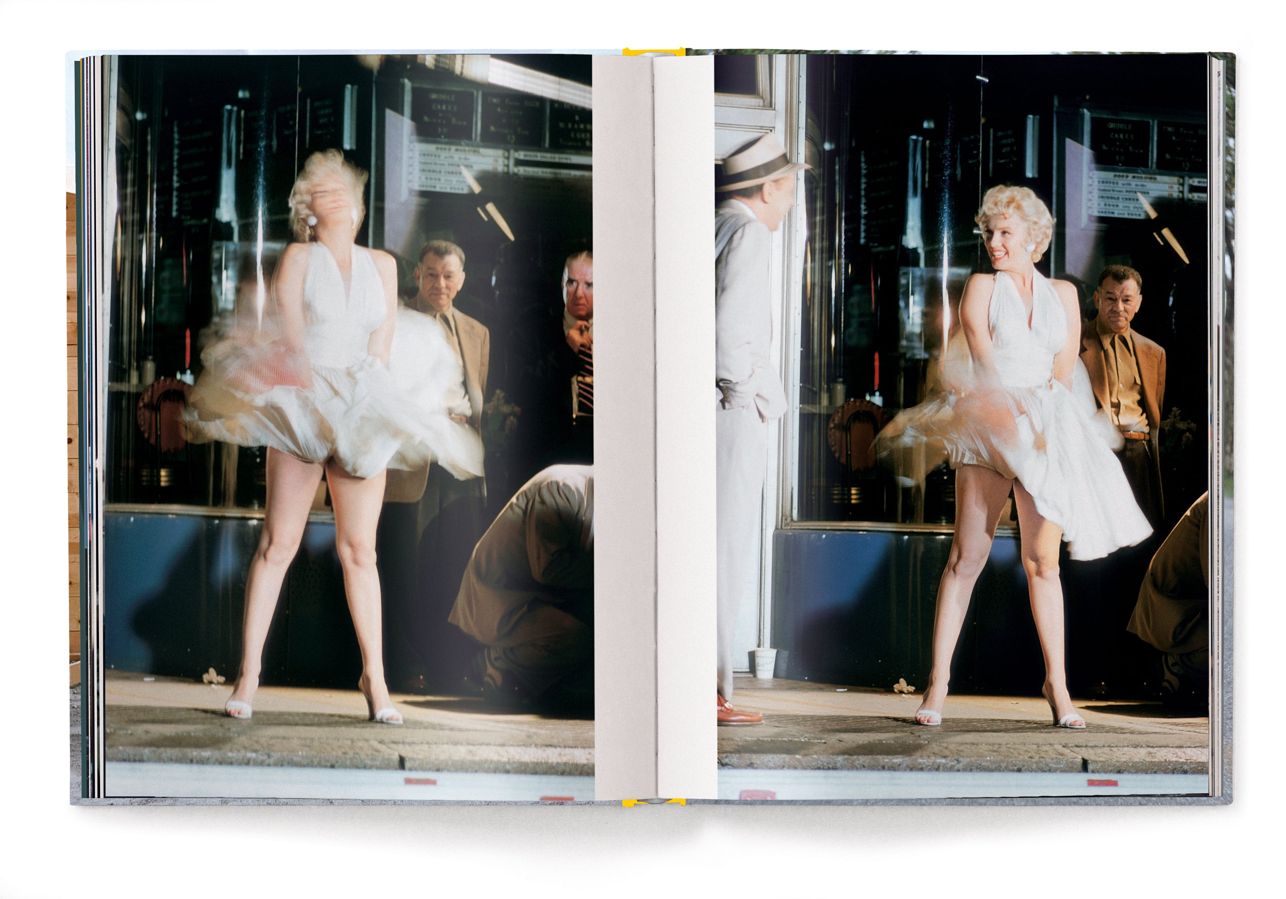 Elliott Erwitt's Kolor