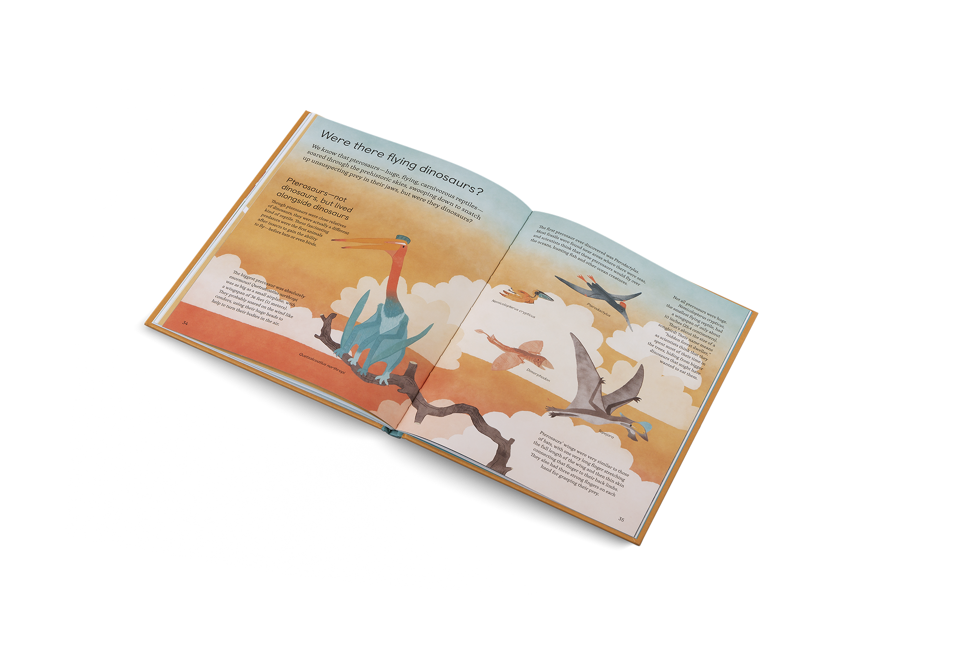 Ask Me About… Dinosaurs