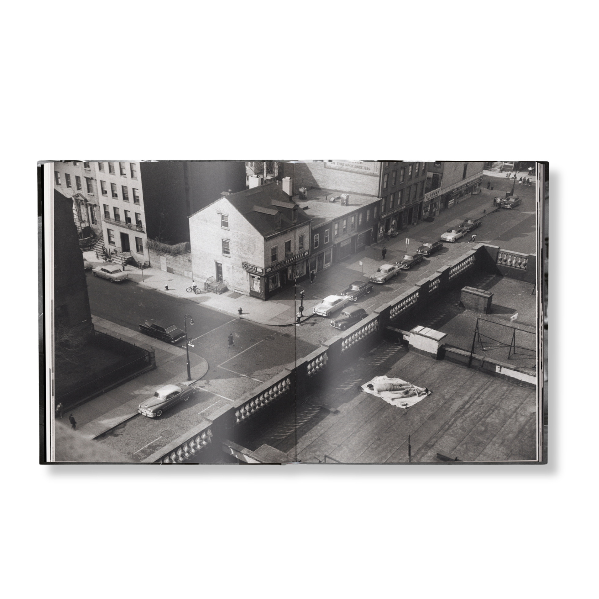 Elliott Erwitt's New York