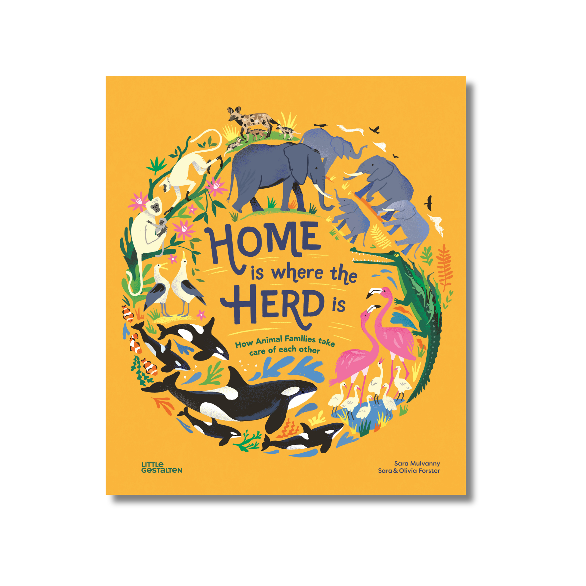 Home Is Where the Herd Is