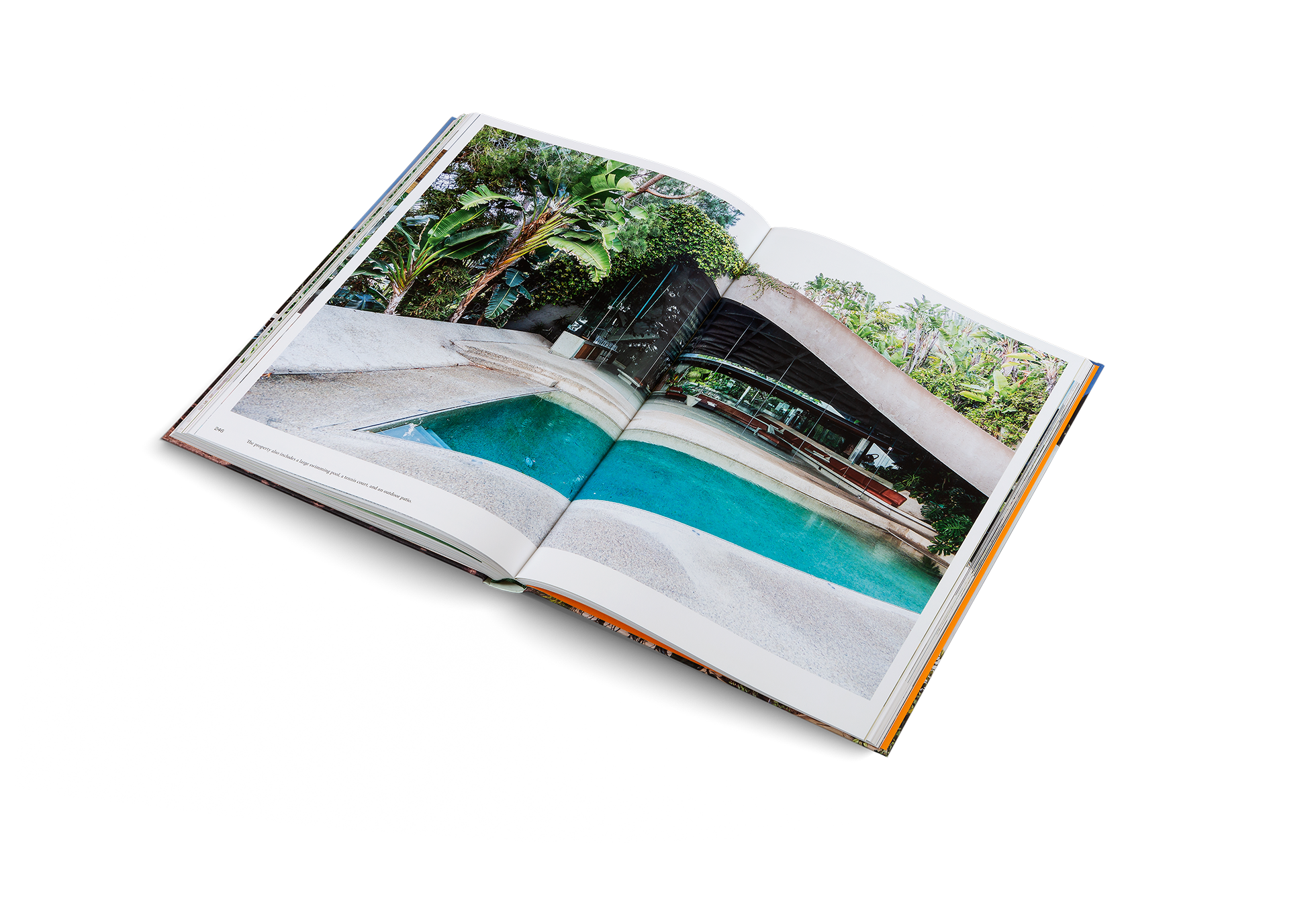 Modernist Icons - Midcentury Houses and Interiors