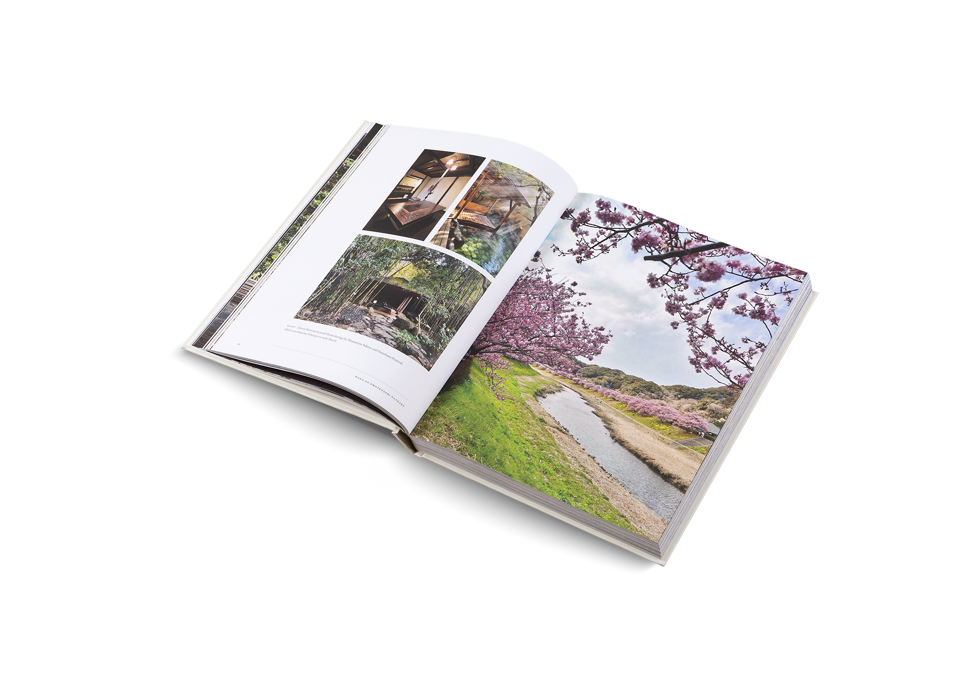 Onsen and Ryokan of Japan