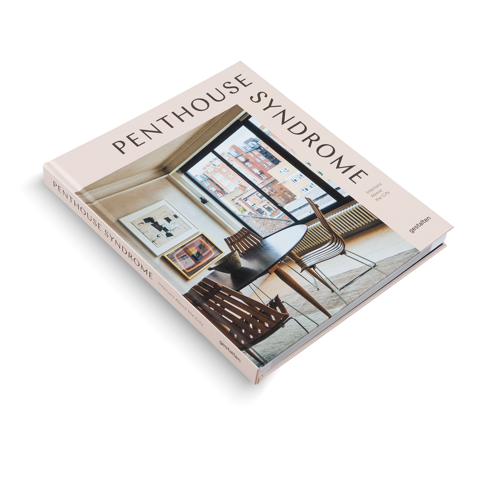 Book titled 'Penthouse Syndrome' on a white background