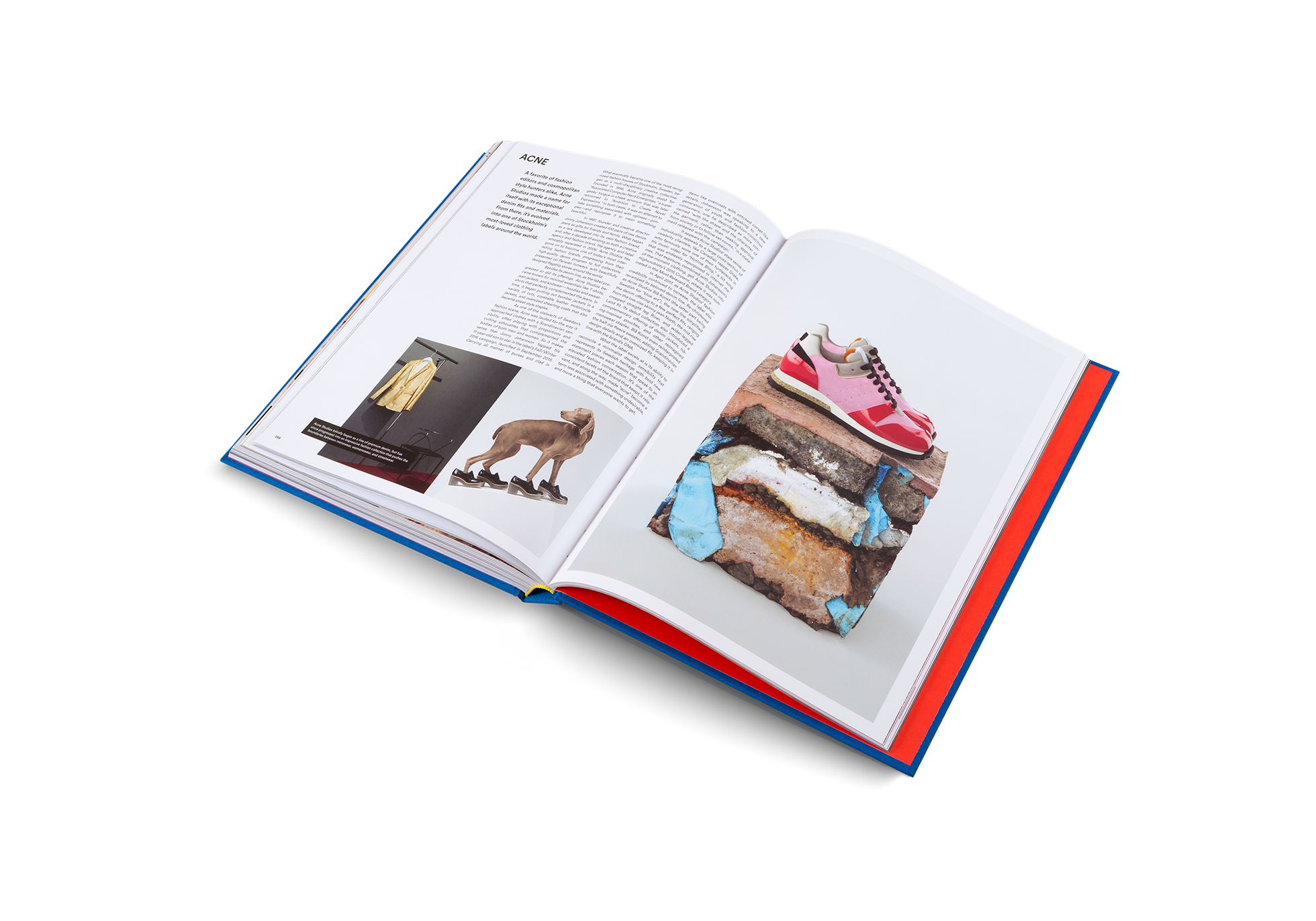 The Incomplete (Updated Edition)