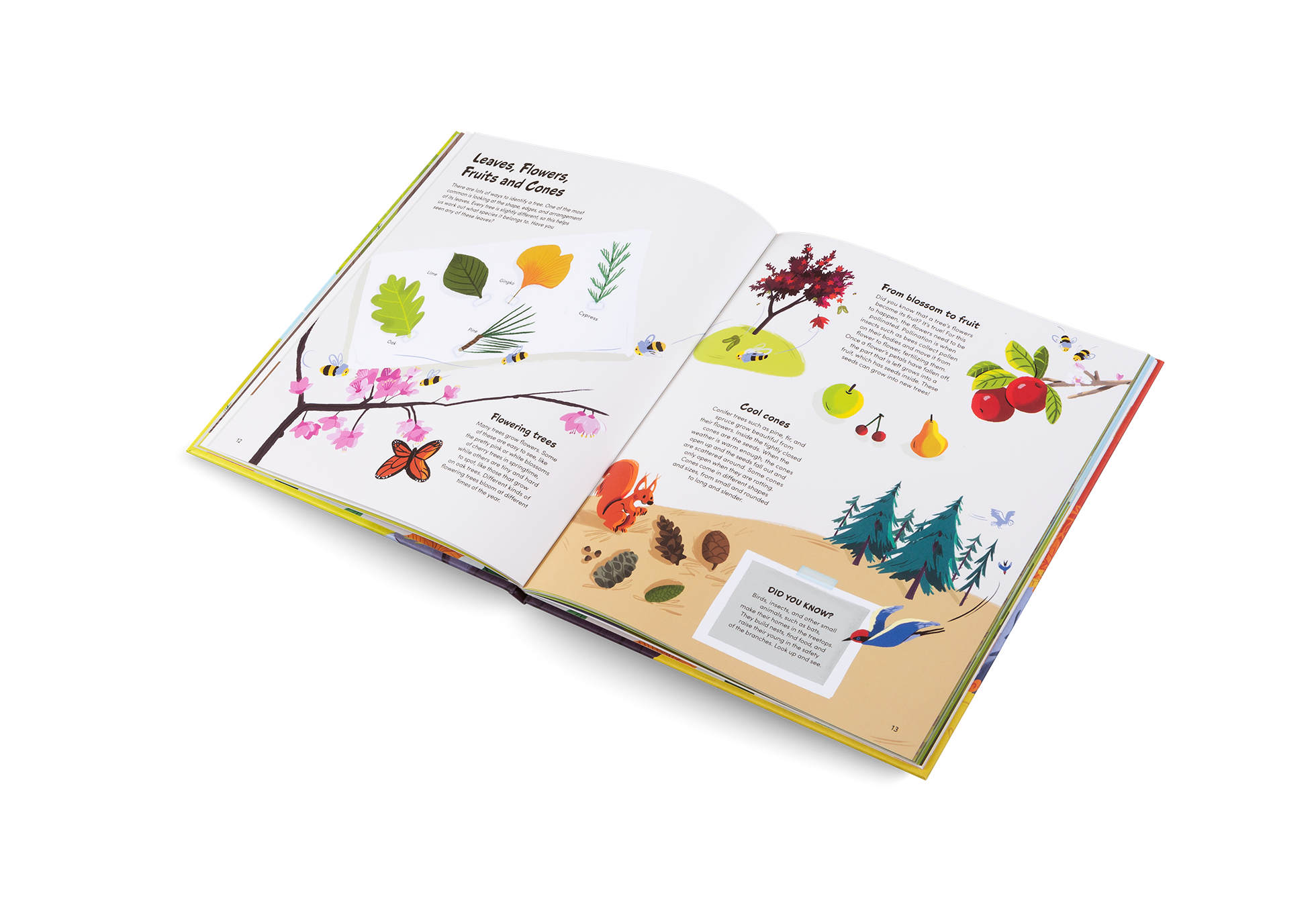 The Little Book of Trees