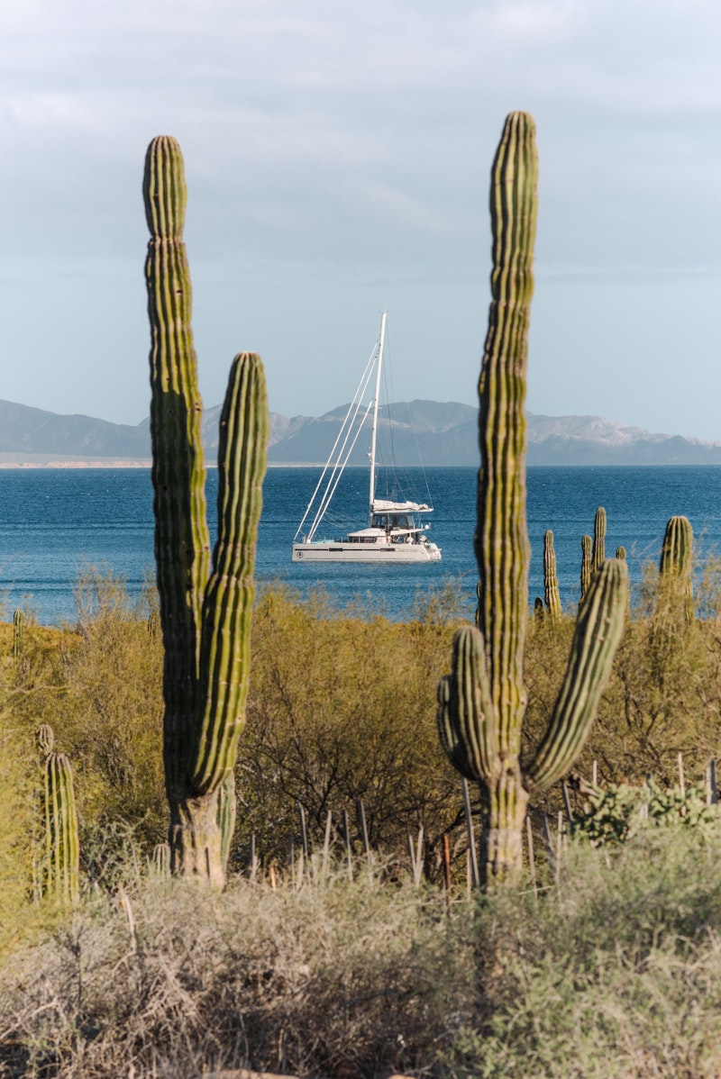 Sailing the Seas Vol. 2