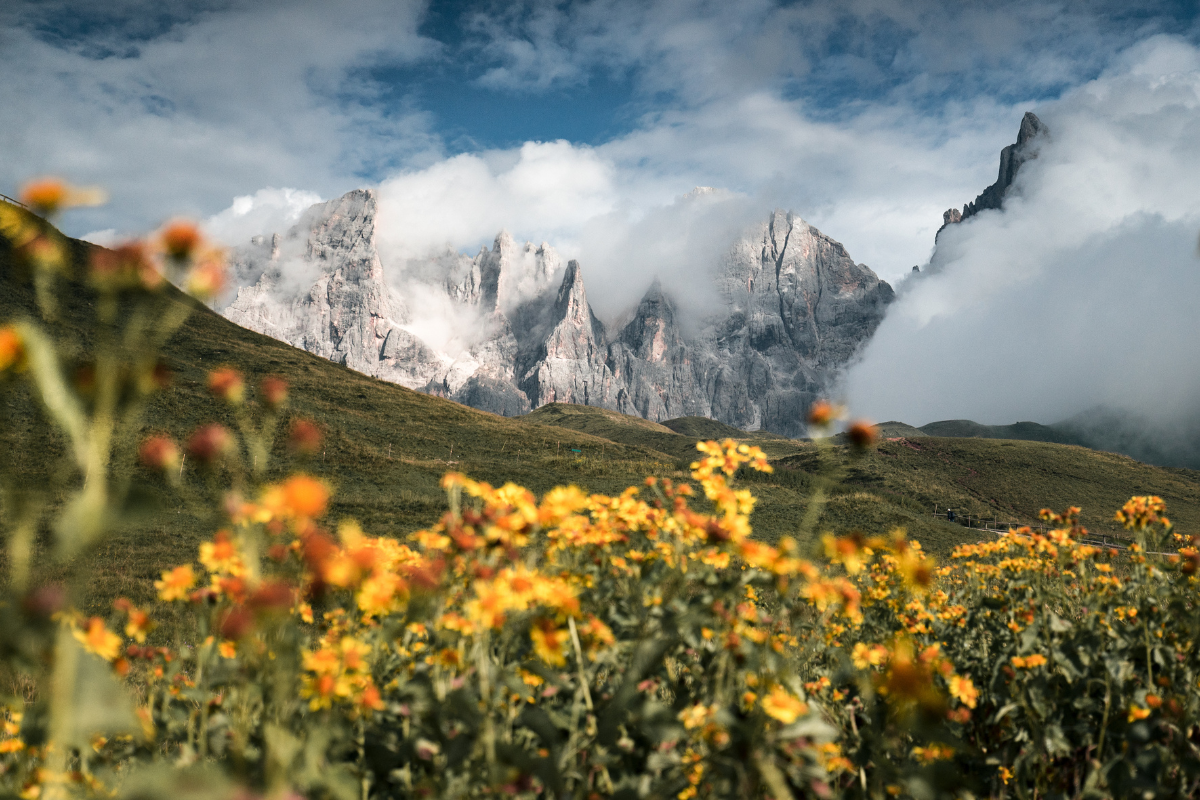 Wanderlust (Compact Edition)