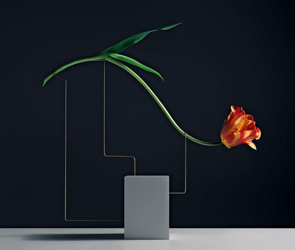 The Still Life - In Product Presentation and Editorial Design