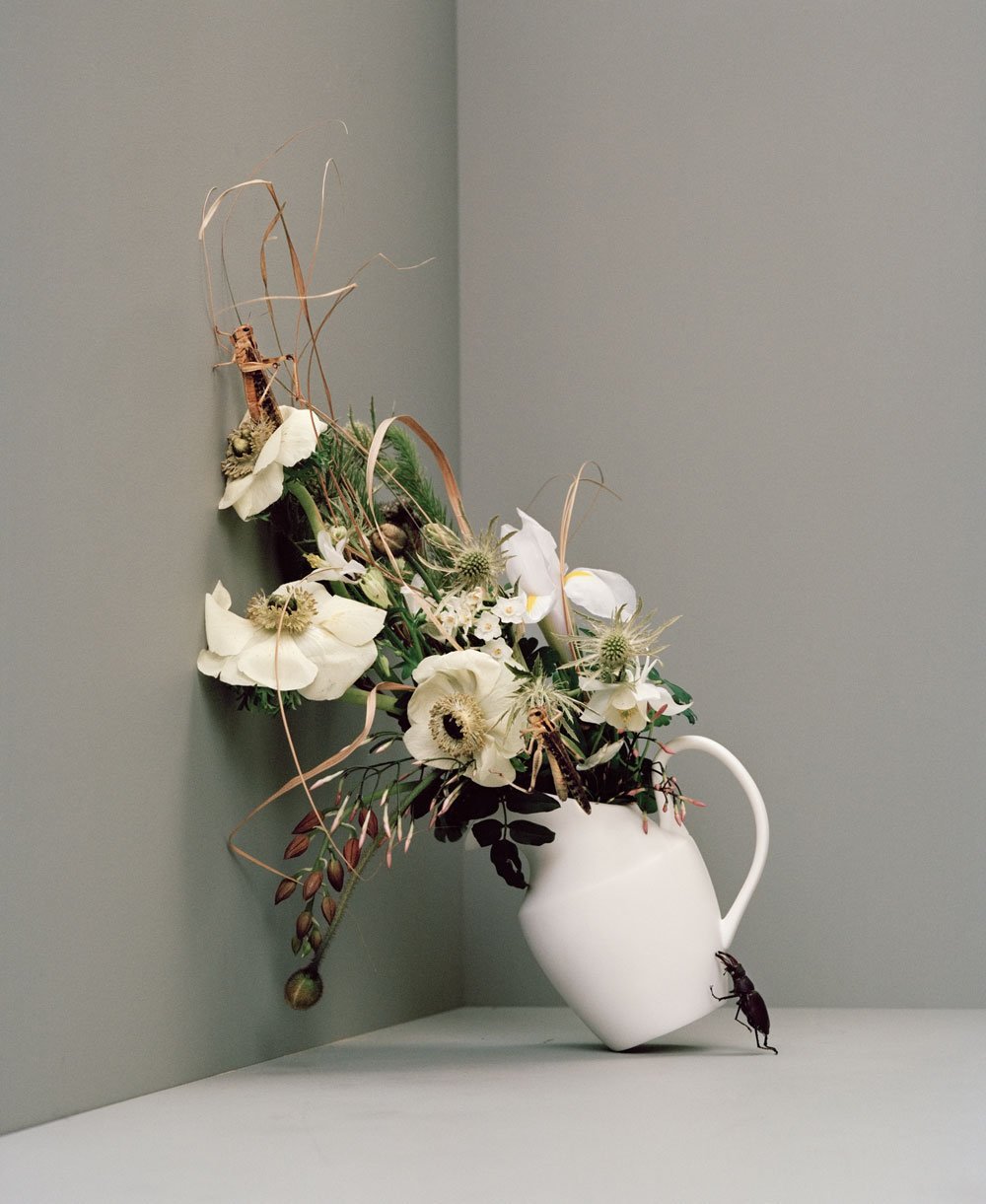 The Still Life gestalten book photography