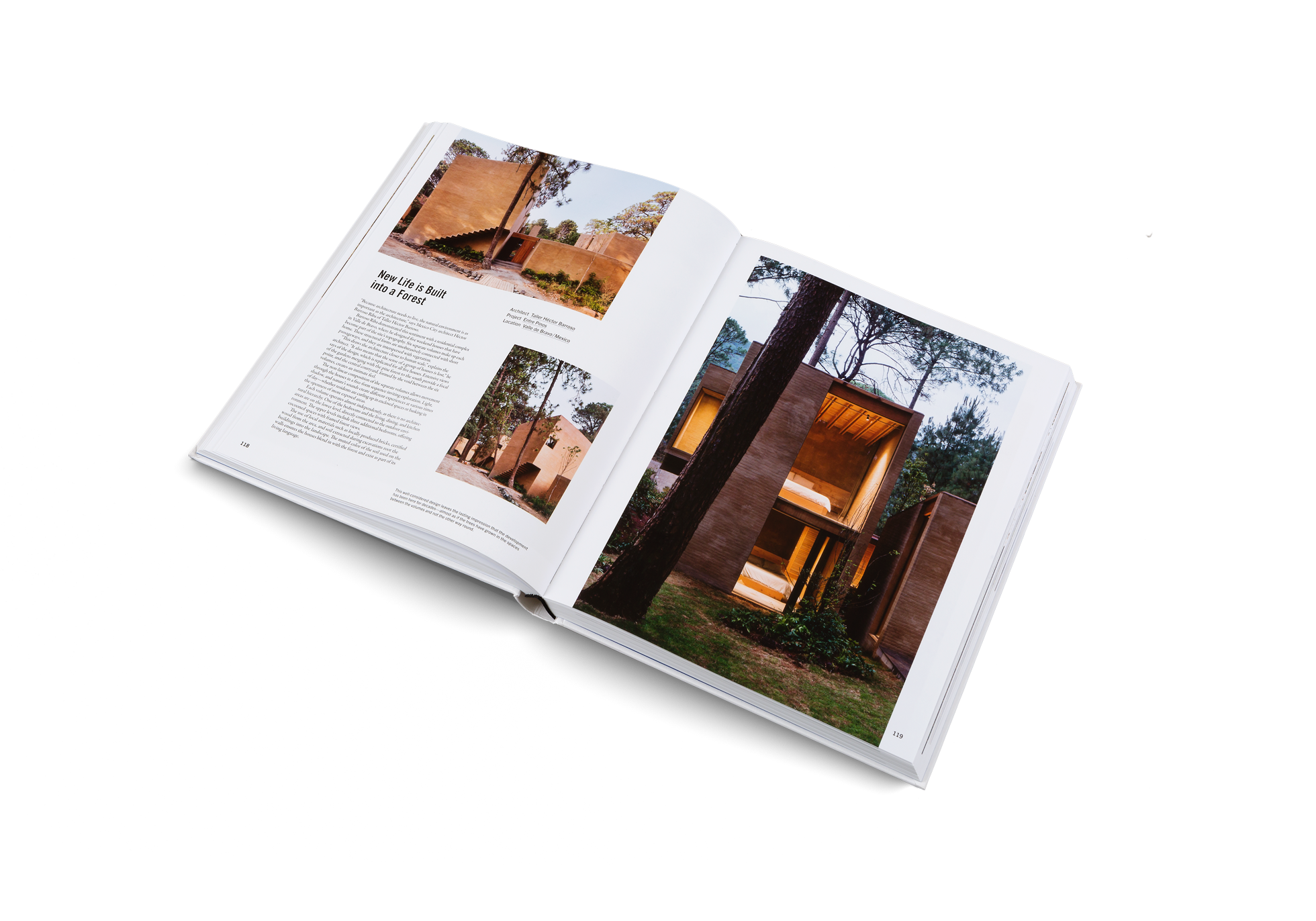 Entre Pinos a project built into a forest by Taller Héctor Barroso in Beyond the West