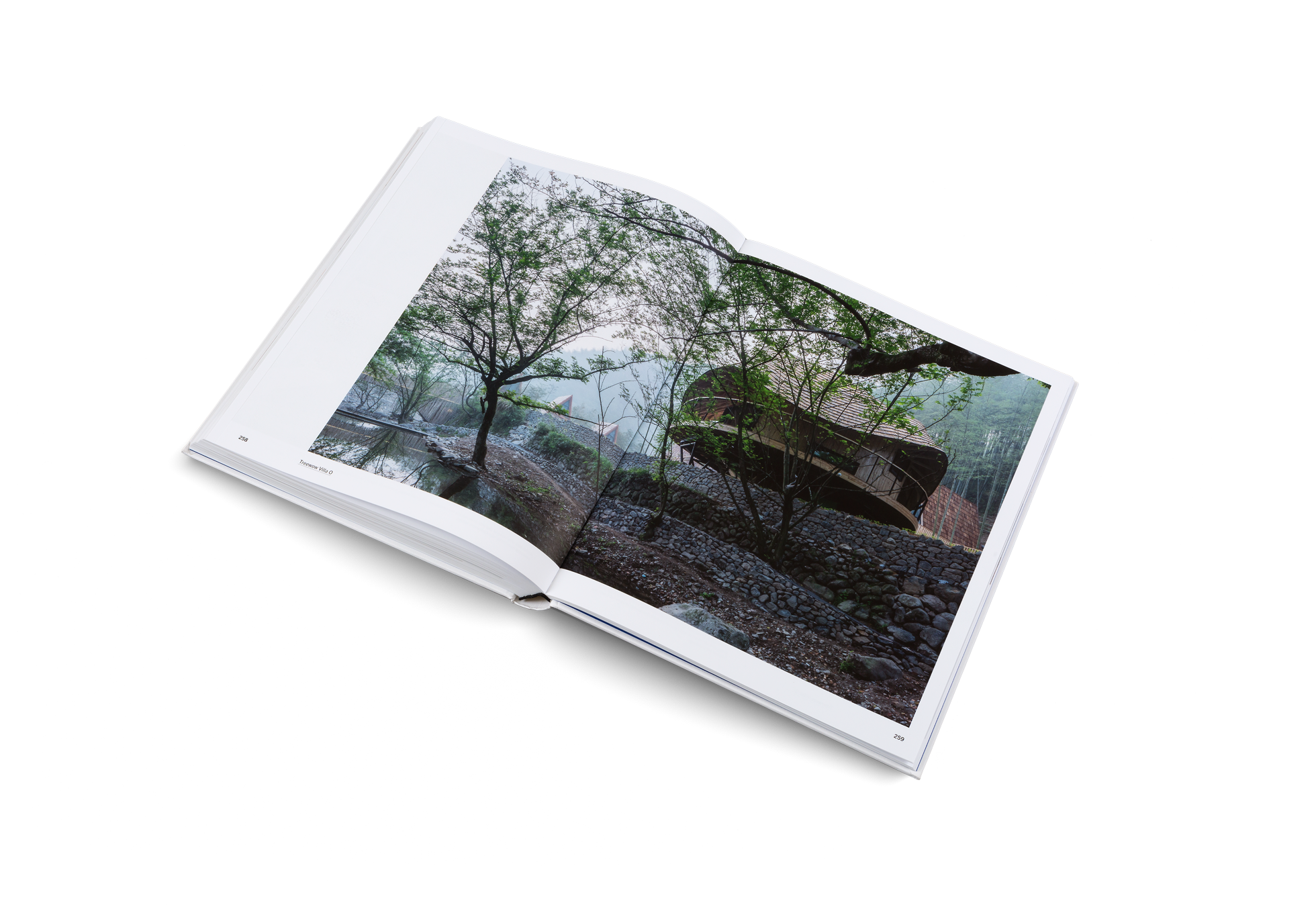 Treewow Villa O an example of modern architecture in Beyond the West