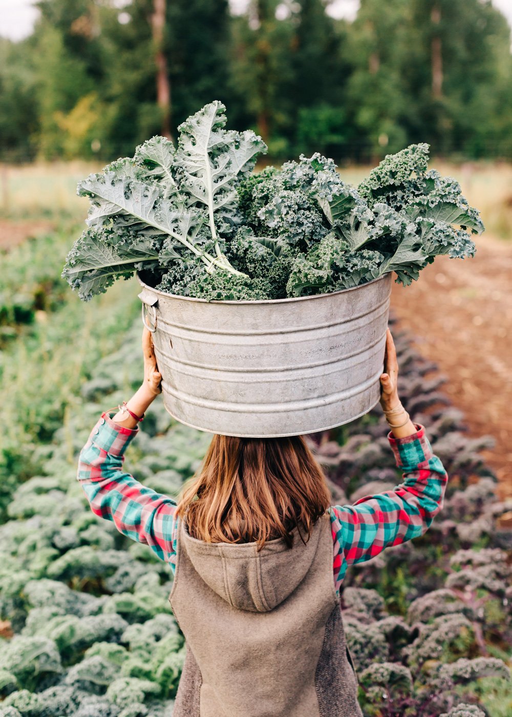 Farmlife gestalten book sustainability farm to table