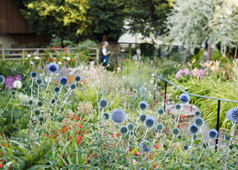 Farmlife gestalten book sustainability farm to table