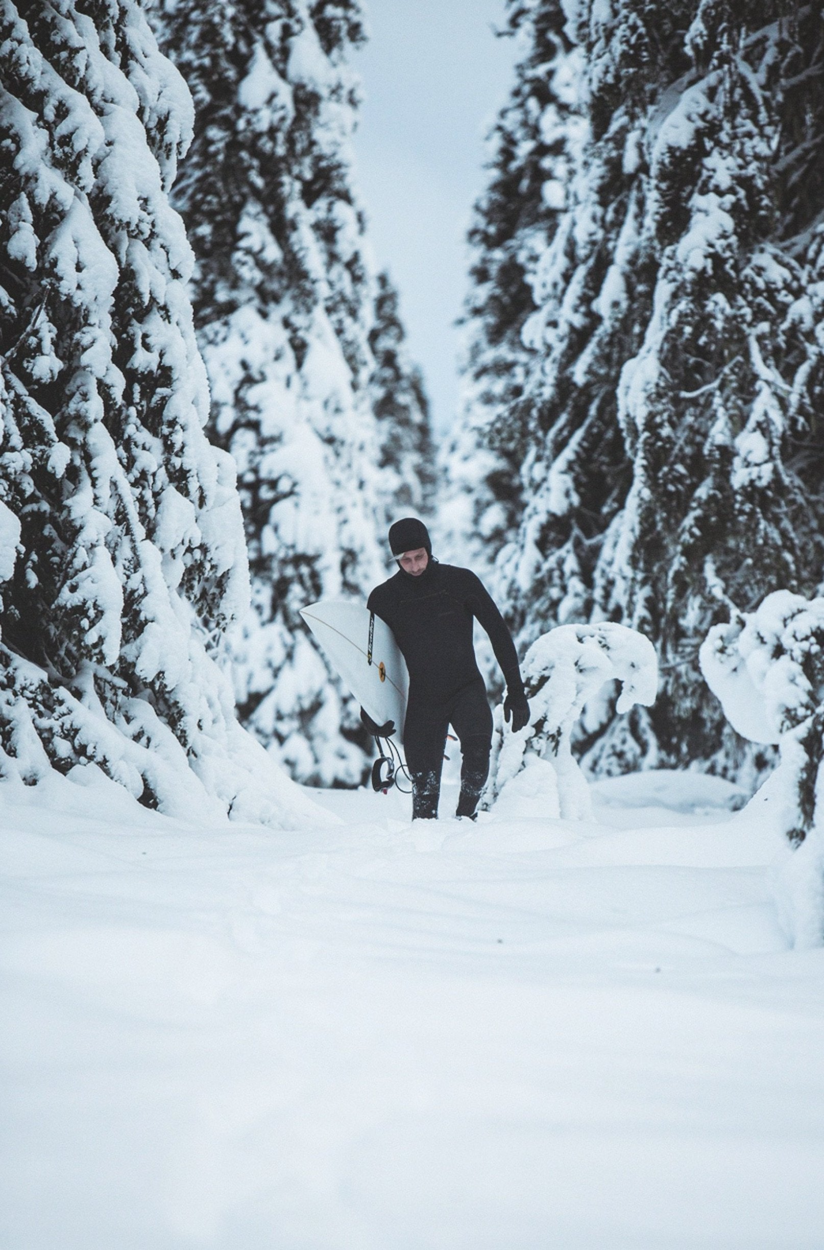 Surf Odyssey gestalten book surfing