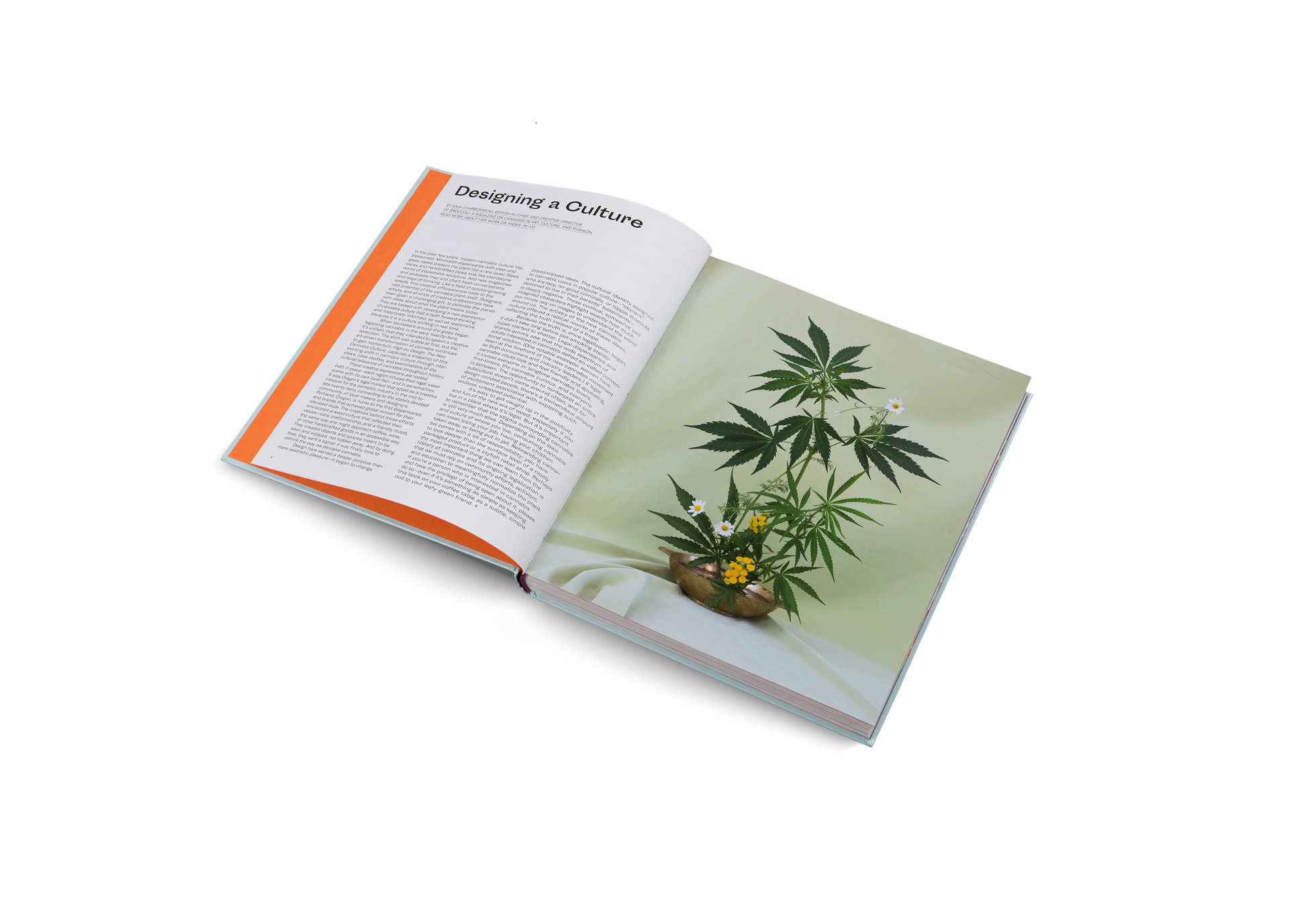 Designing cannabis culture in High on Design