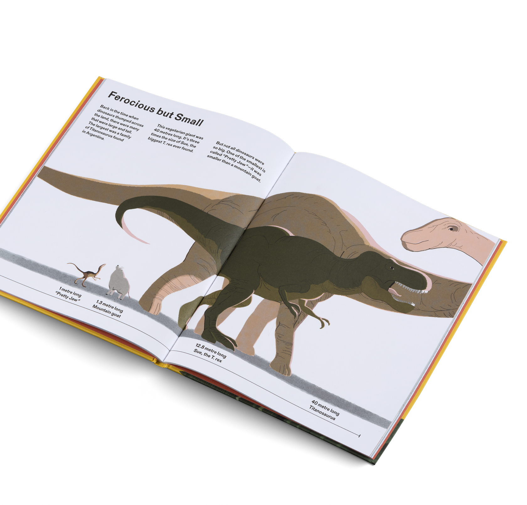 Big and tall stores 2025 around me