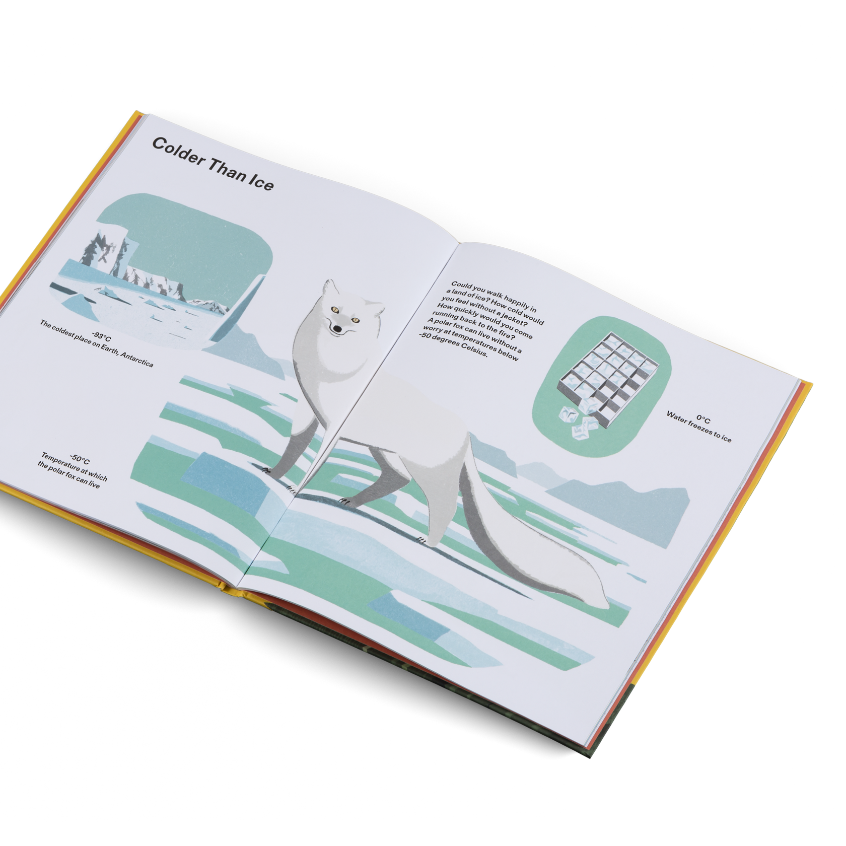 How Big Is Big? How Far Is Far? All Around Me Metric Little Gestalten Children's Book Picture Book Non-Fiction Illustrations Jun Cen Insight