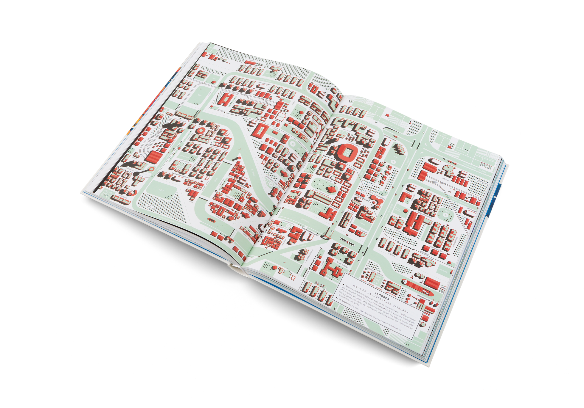 An illustrated map in A Map of the World