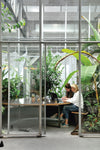 Interior plants and design in a modern office