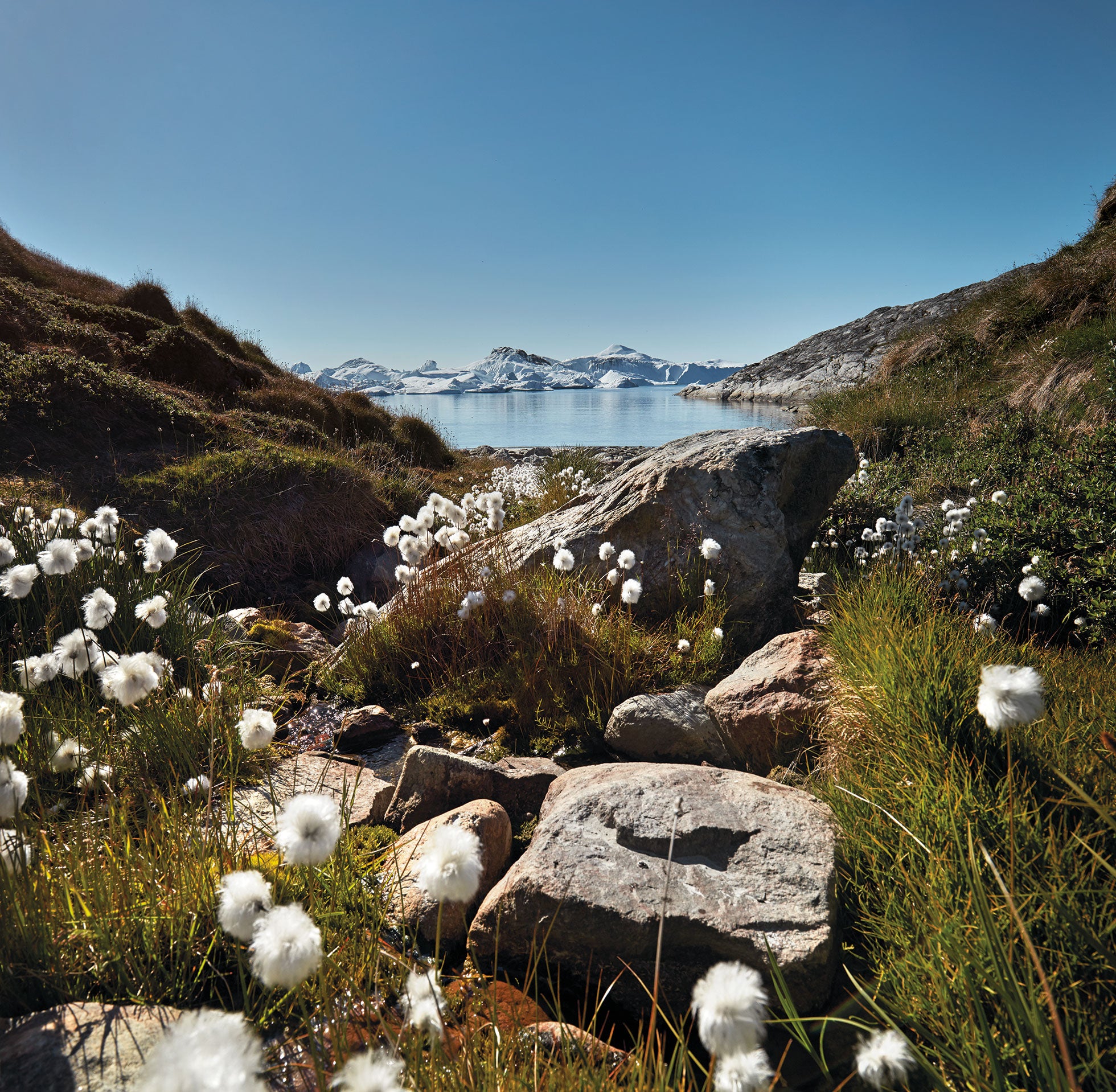 Fjord in Nordic by Nature