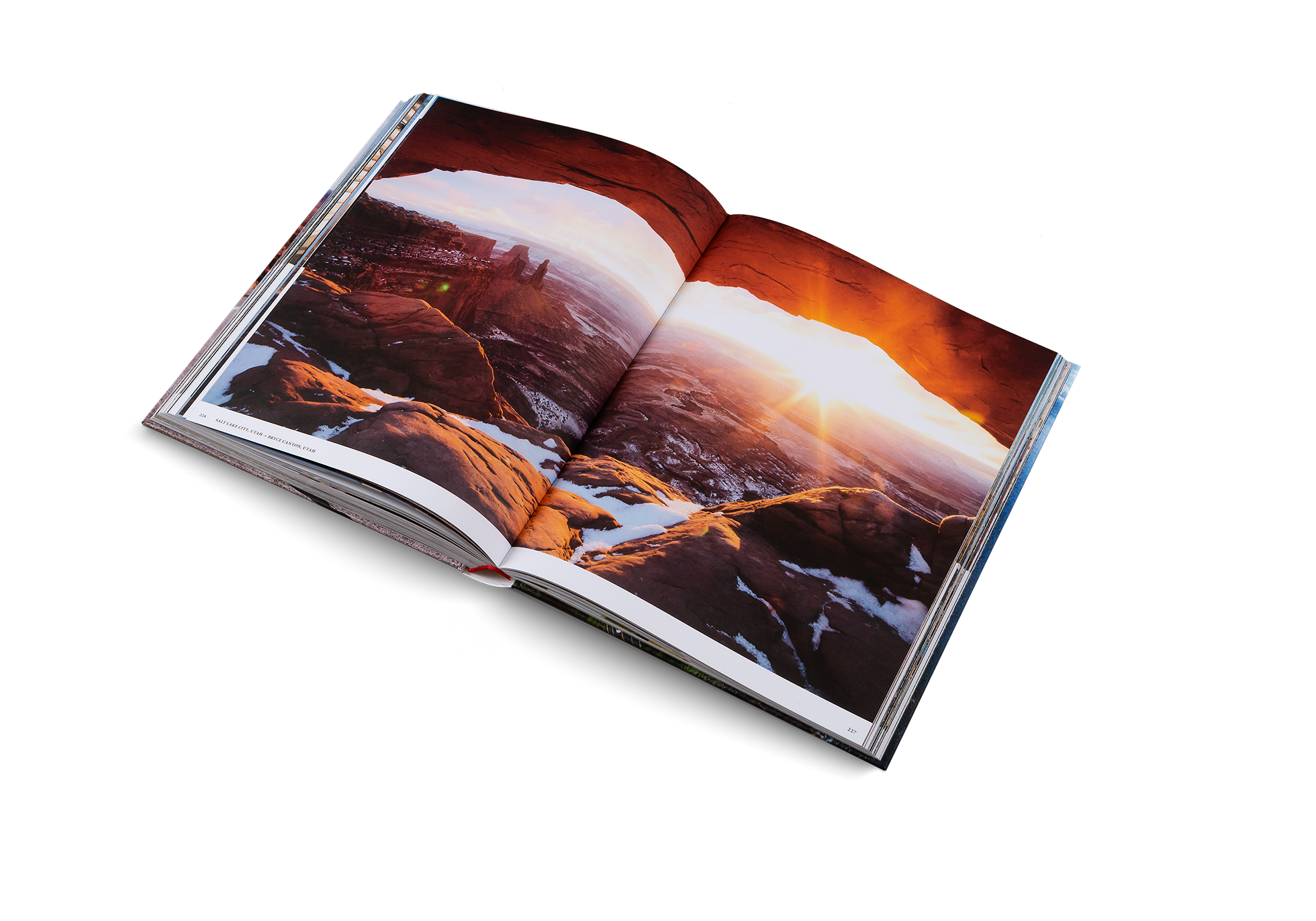 The wonderful landscape of an American road trip.