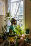 Discover in Urban Farmers how to grow your plants in small spaces at home.
