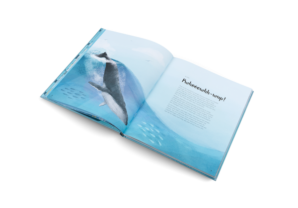 The World of Whales - Get to know the giants of the ocean - gestalten ...