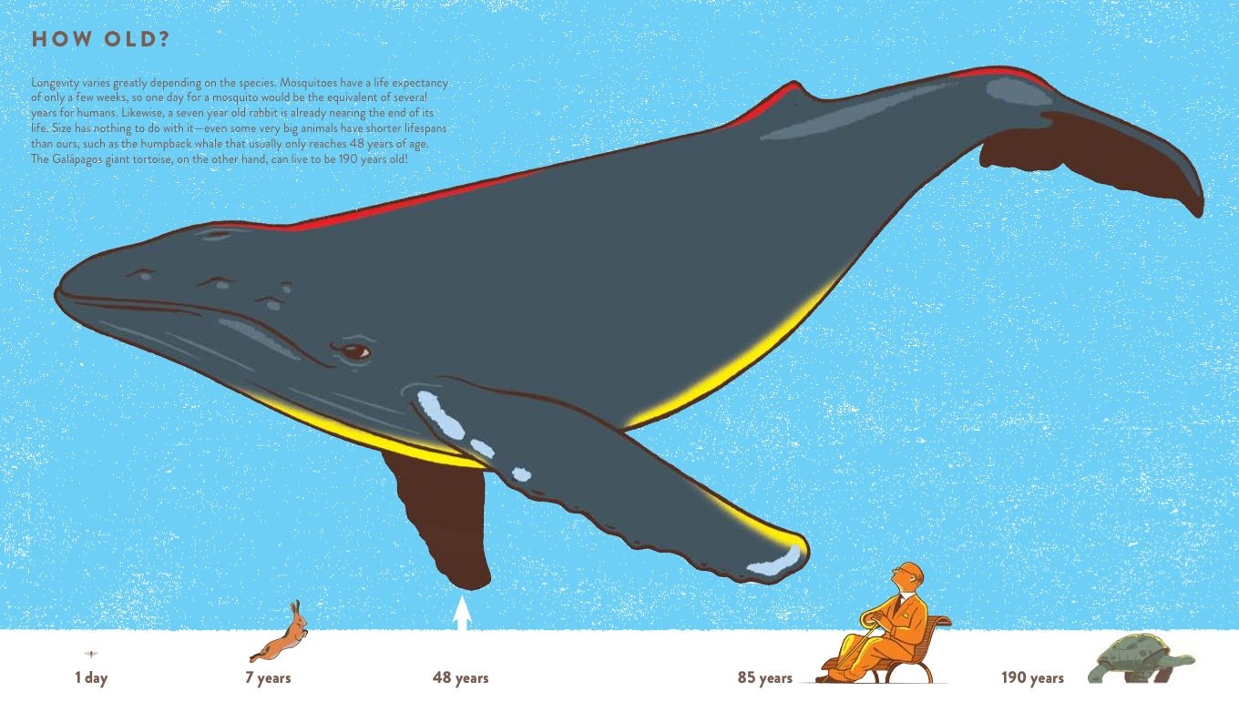 How Big Is Big? How Far Is Far? - gestalten US Shop