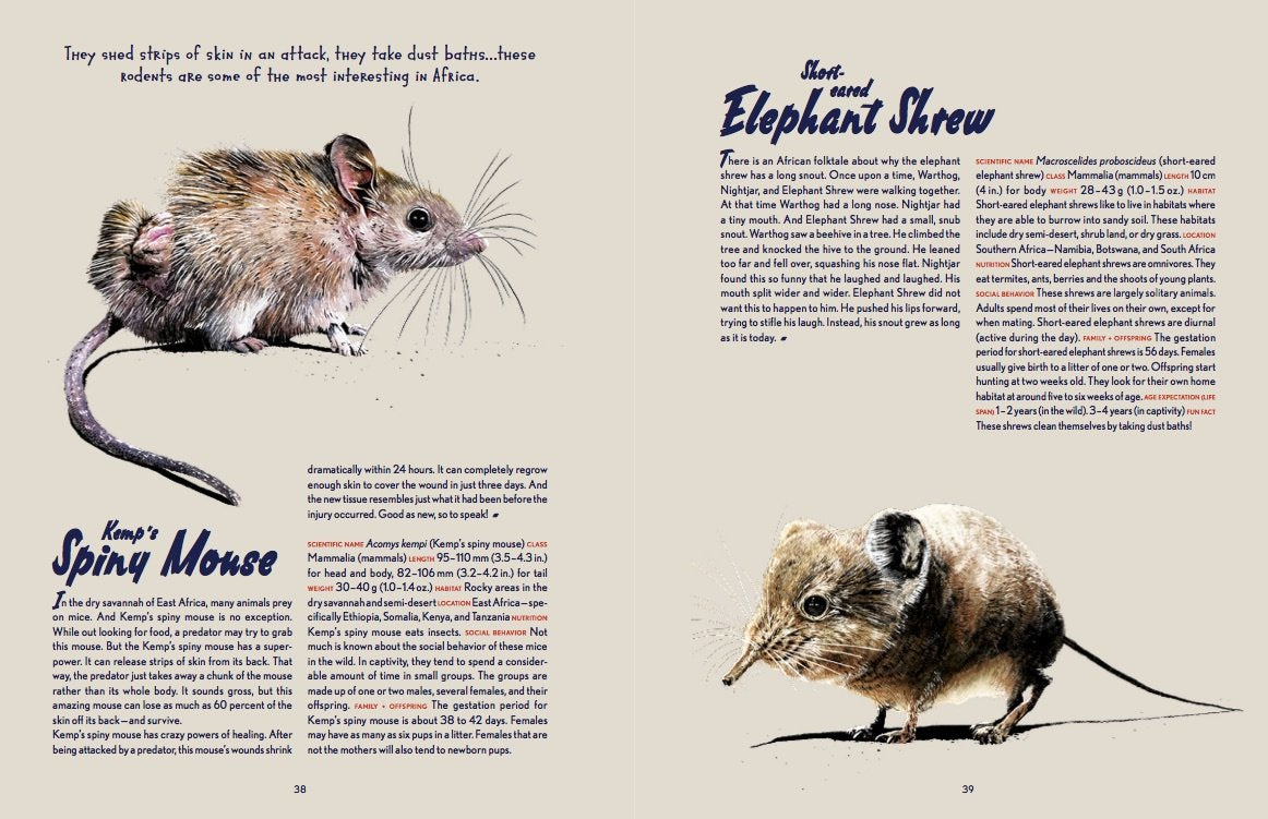 Animal Allstars 978-3-89955-782-4