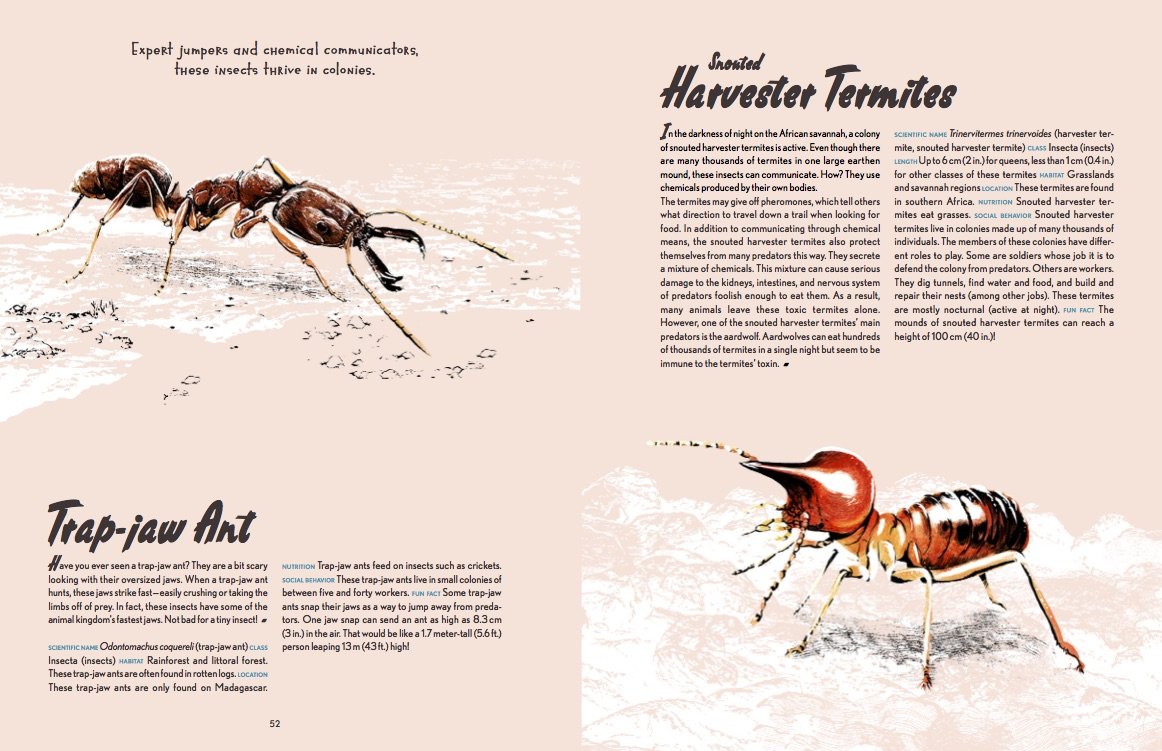 Animal Allstars 978-3-89955-782-4