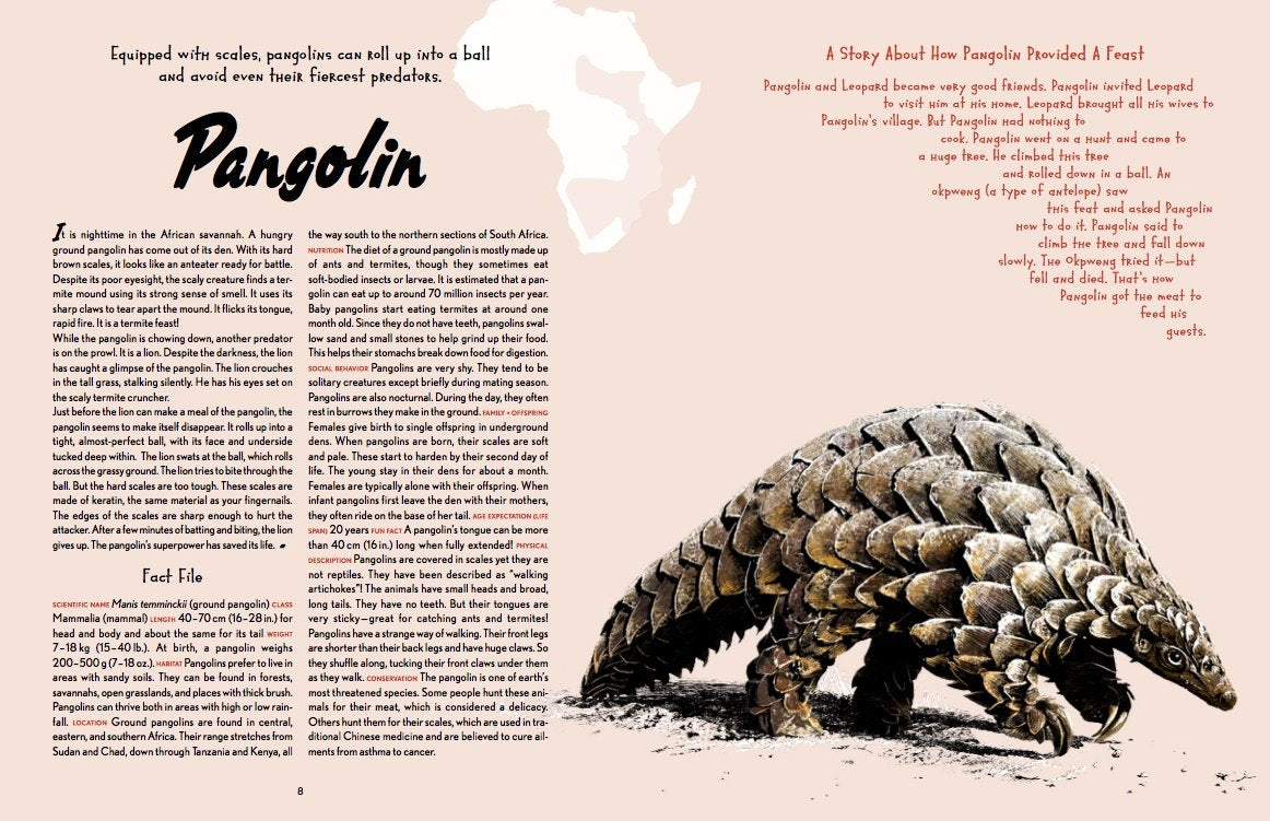 Animal Allstars 978-3-89955-782-4