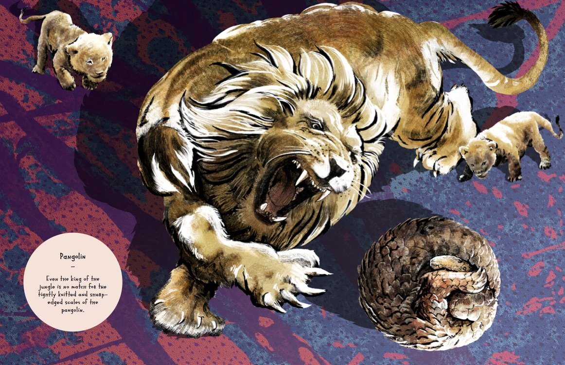 Animal Allstars 978-3-89955-782-4