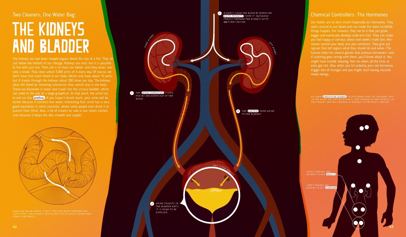 My Body 978-3-89955-712-1